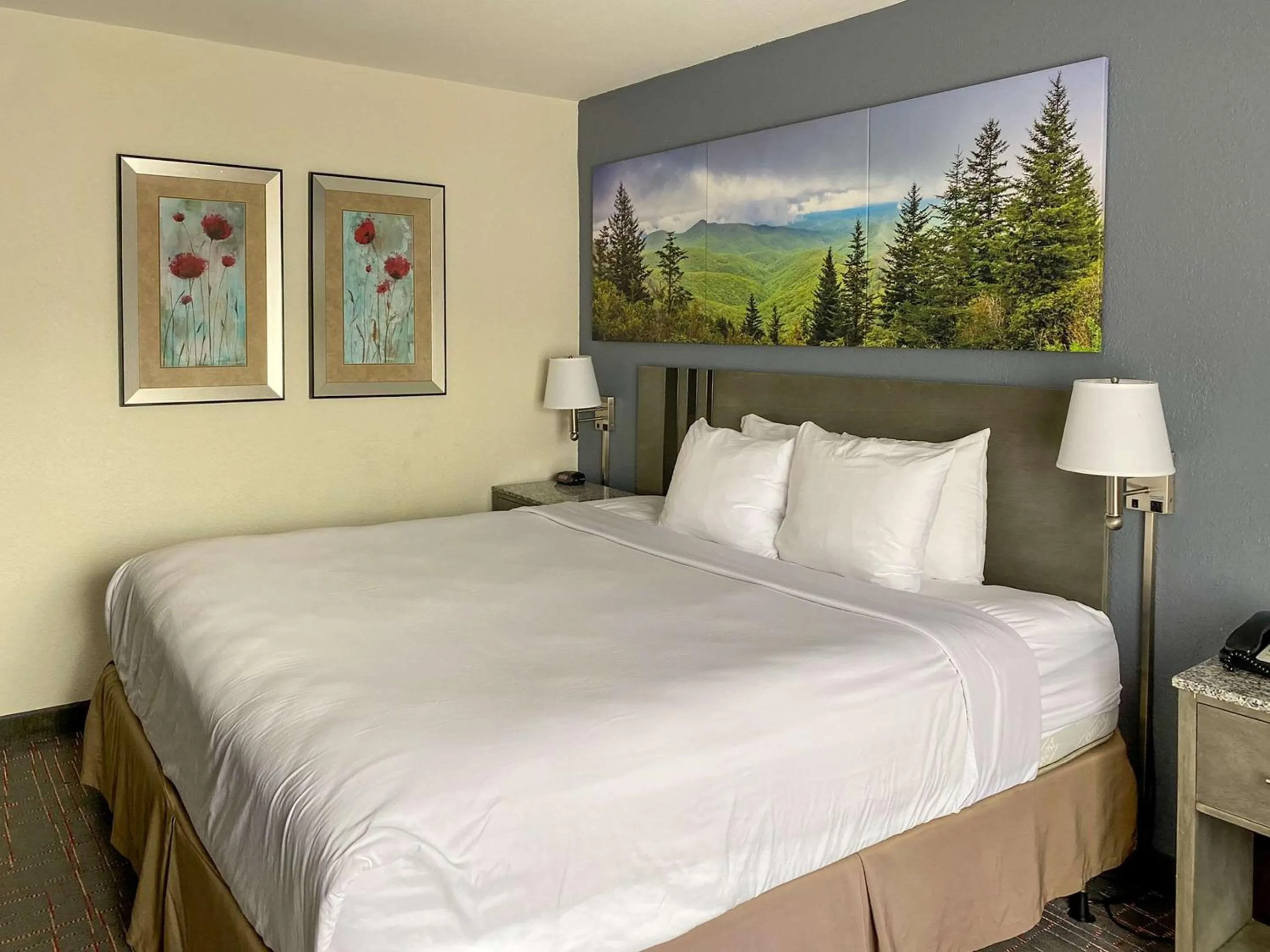 Bedroom in Clarion Pointe - Greensboro Coliseum Area