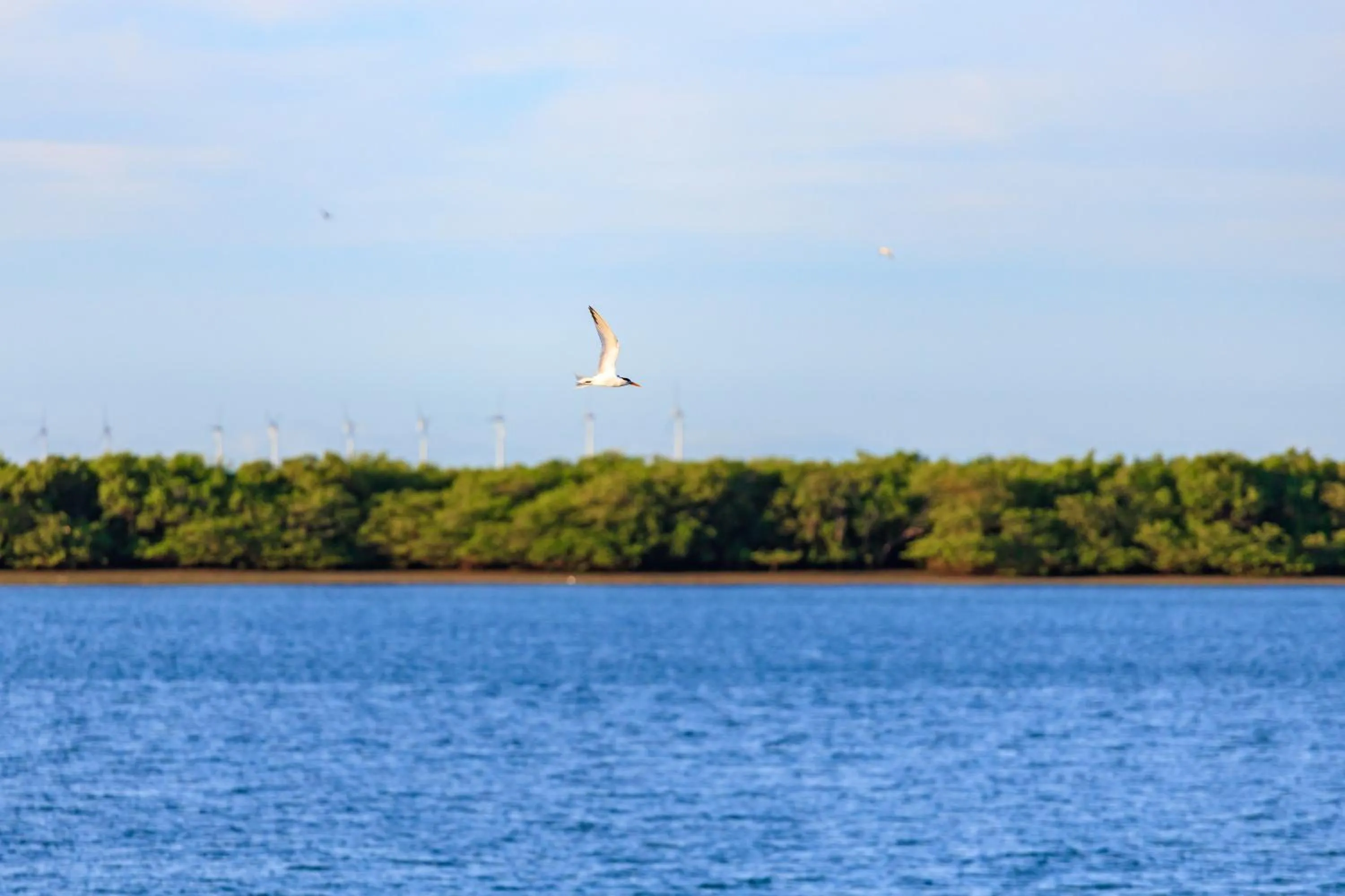 View (from property/room) in Pousada Oásis