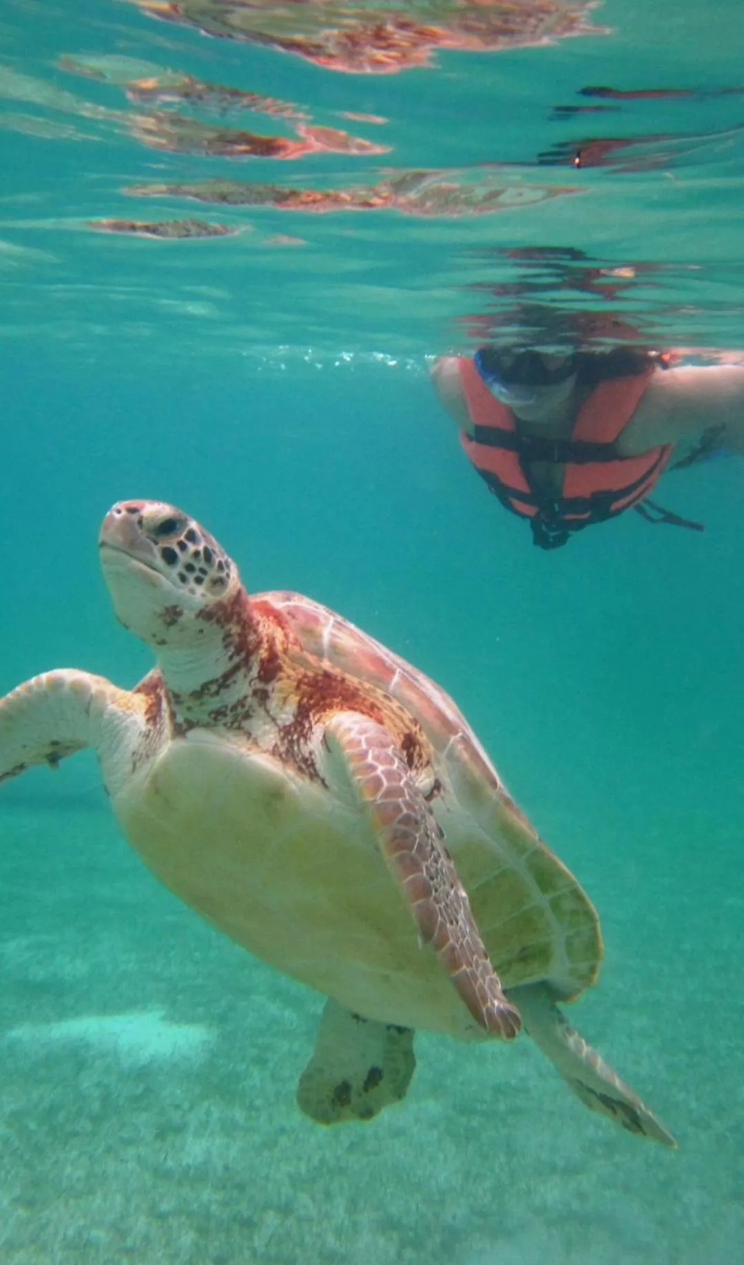 Snorkeling in El Padrino
