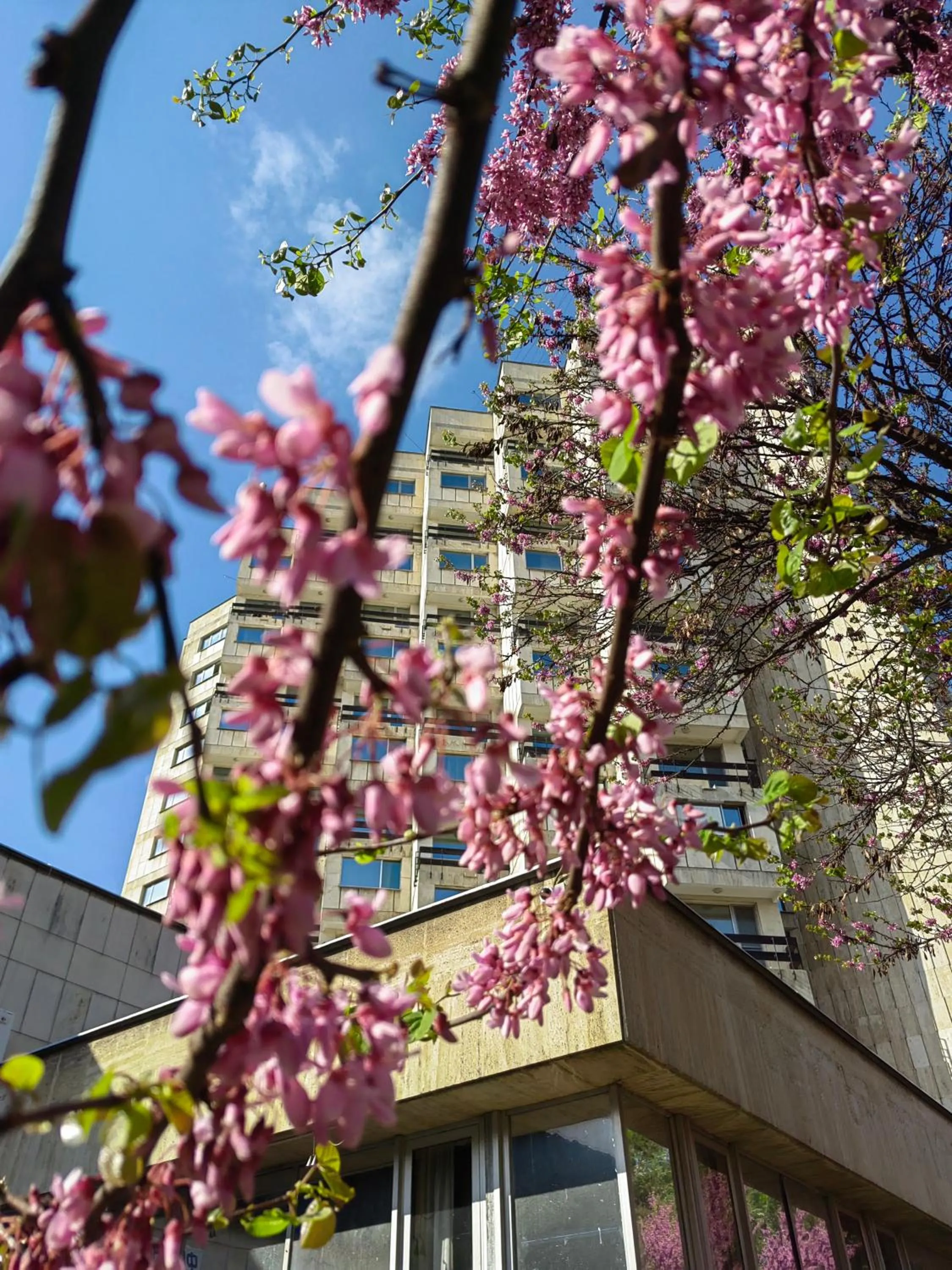 Rovno Hotel
