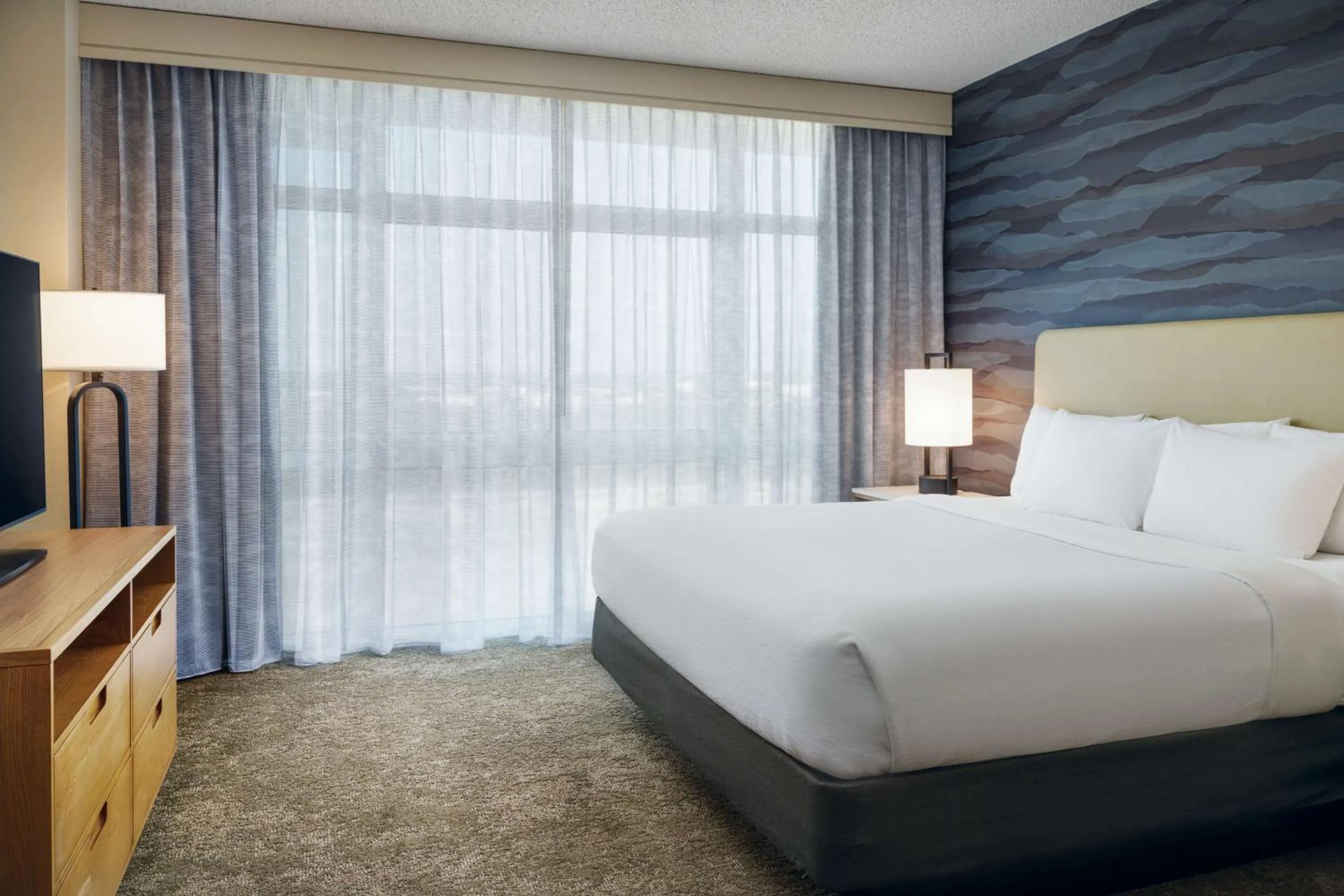 Premium King Suite - Non-Smoking in Embassy Suites North Charleston Airport Hotel Convention