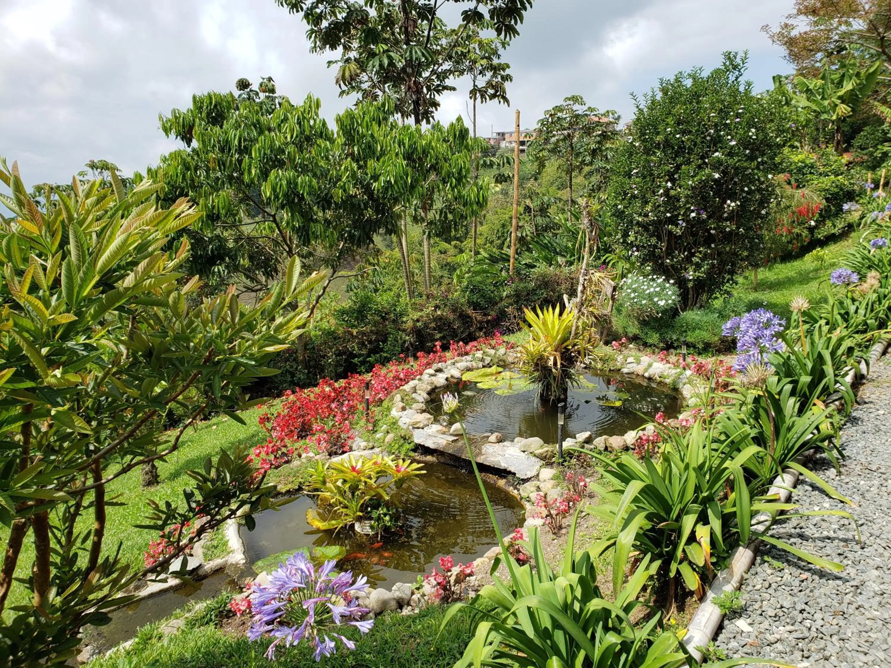 Natural landscape in Lodge Paraíso Verde