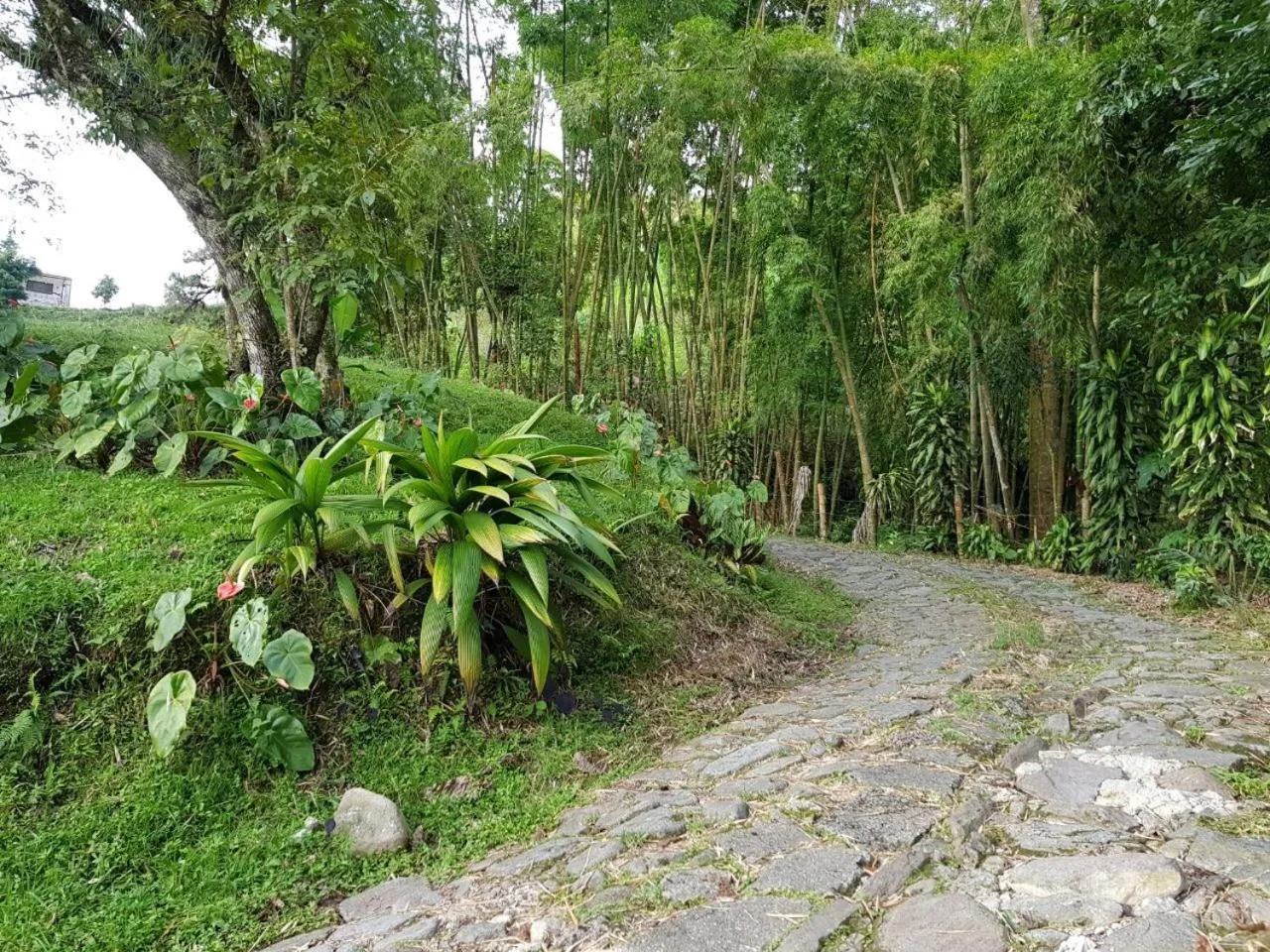 Natural landscape in Lodge Paraíso Verde