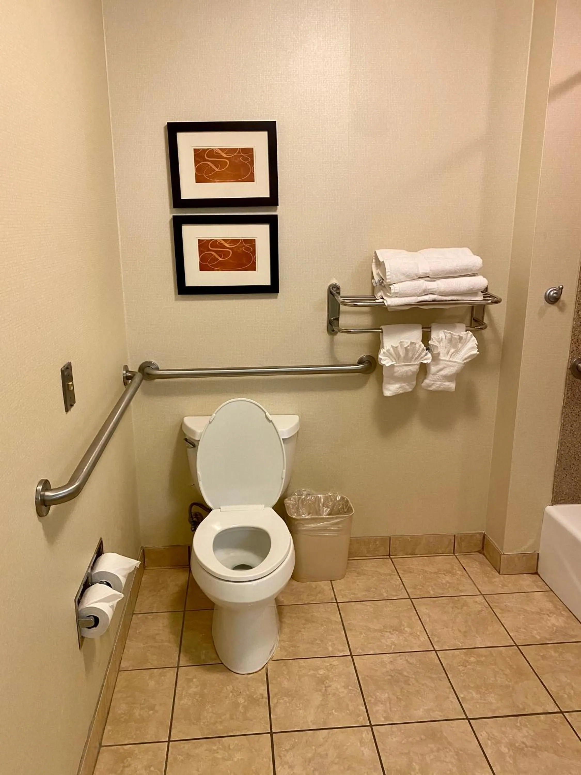 Bathroom in Comfort Suites Rock Hill Manchester Meadows Area
