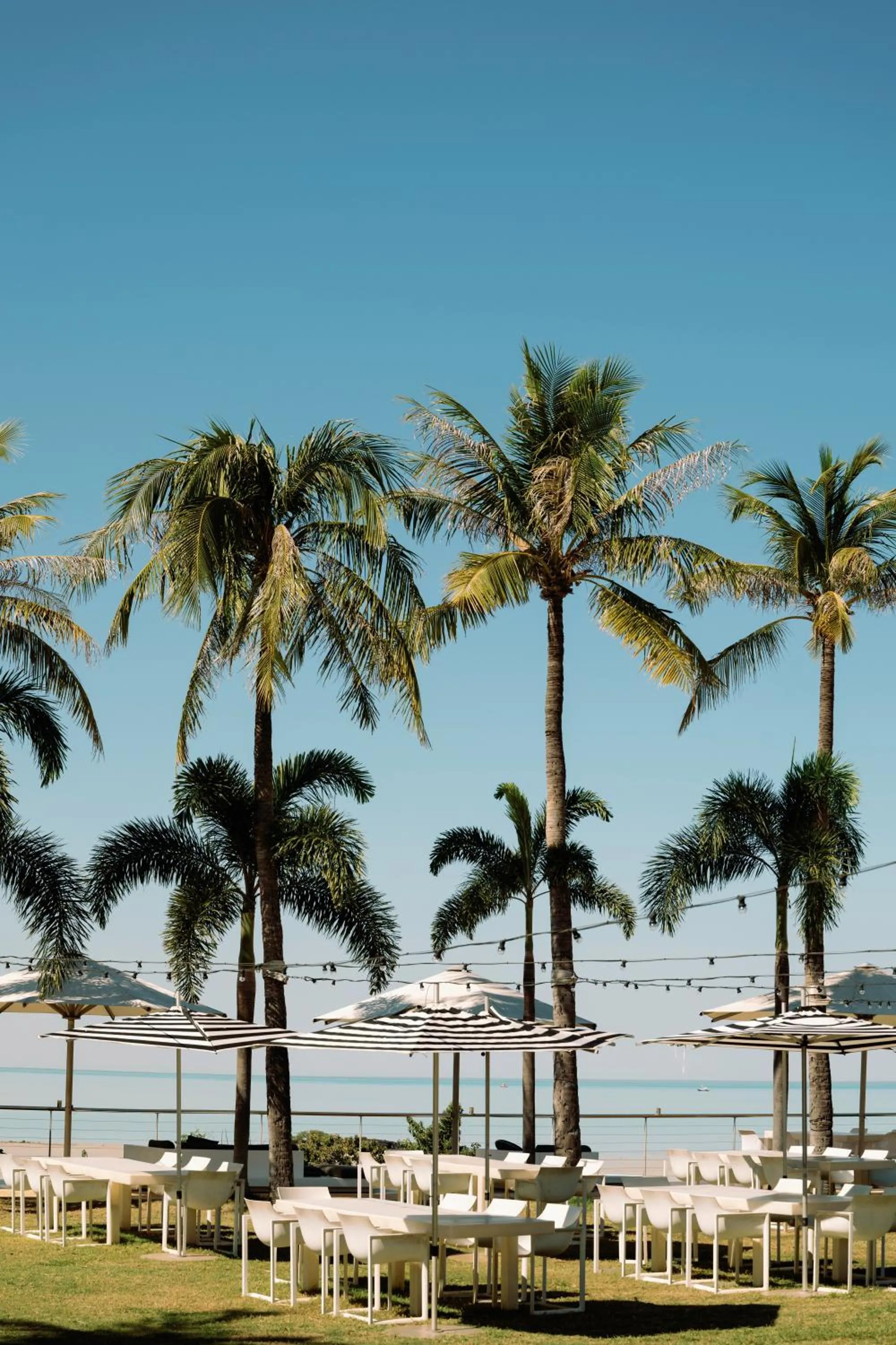 Restaurant/places to eat in Mangrove Hotel