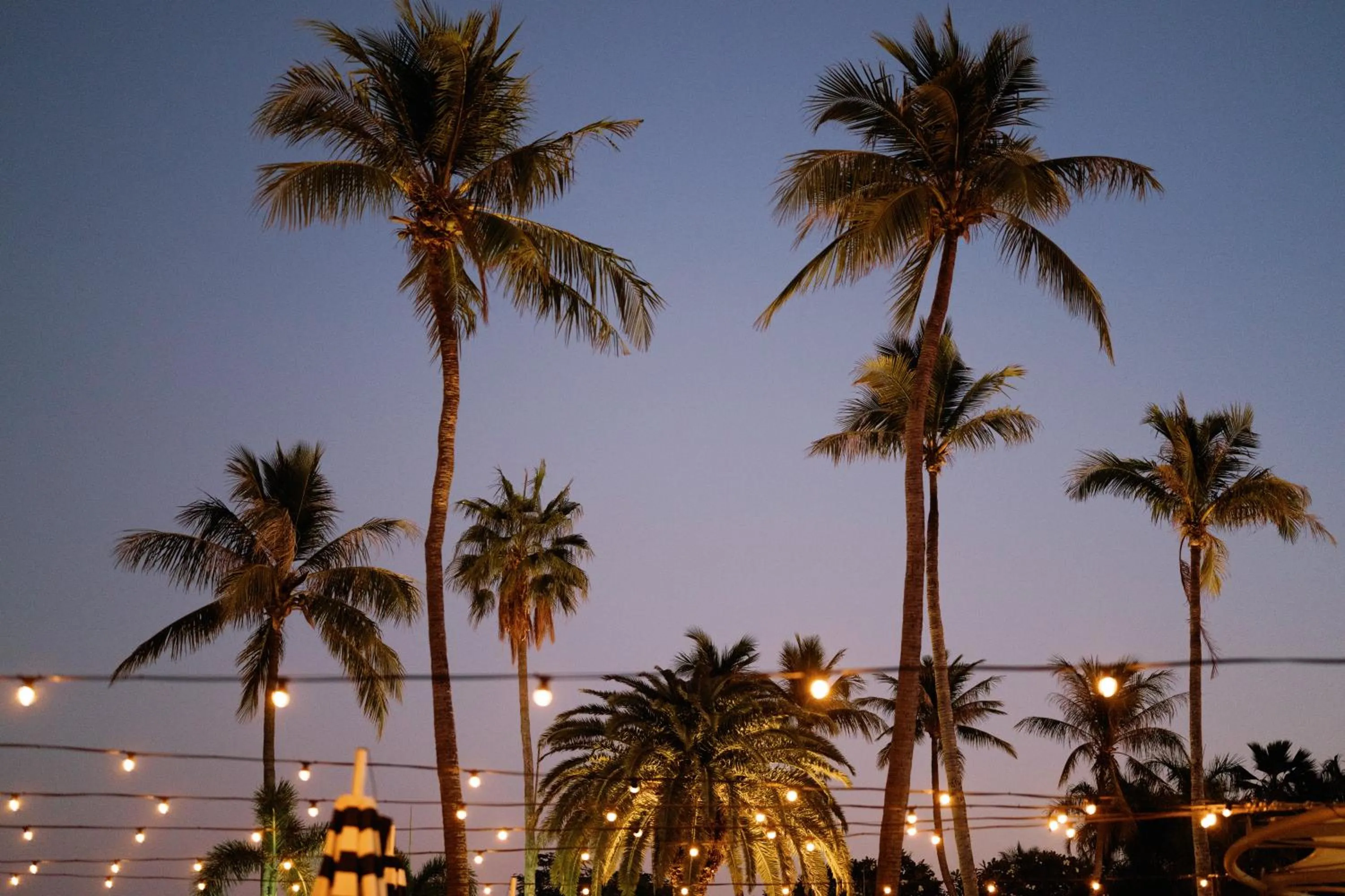 Night in Mangrove Hotel