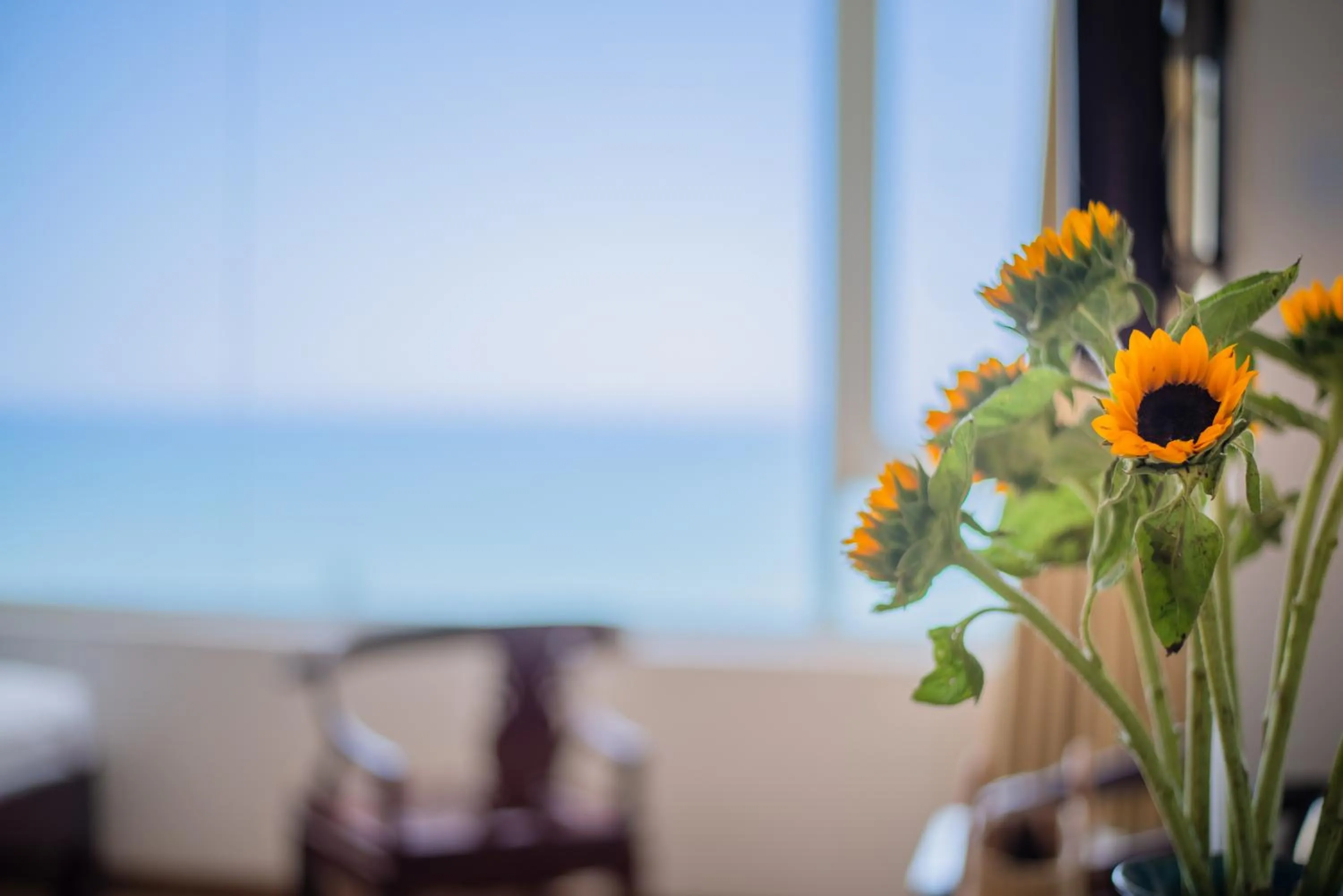 View (from property/room) in LE SOLEIL HOTEL managed by NEST Group