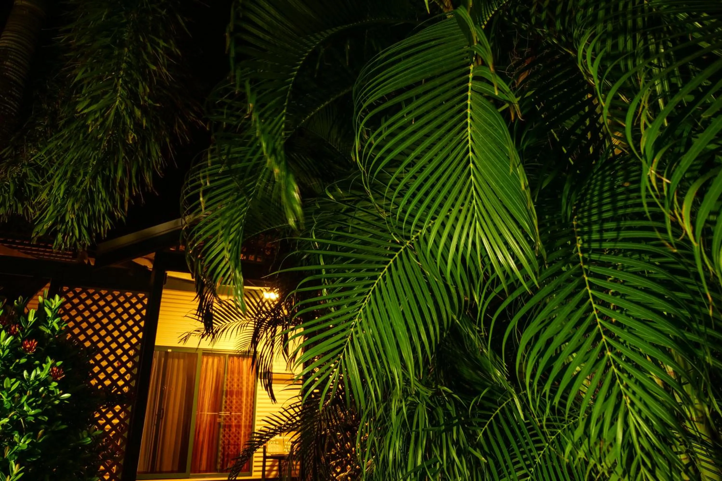 Cocos Beach Bungalows