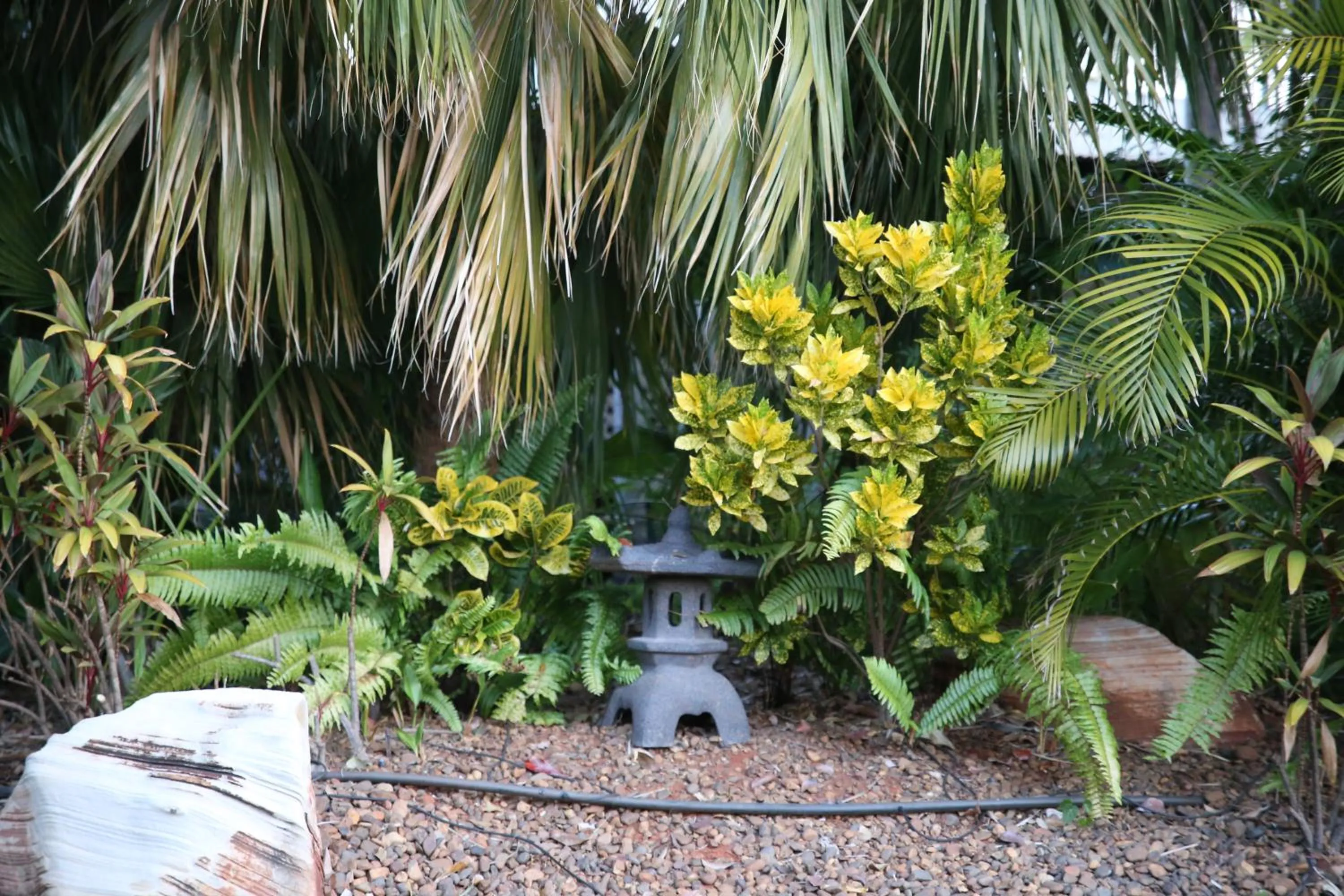 Garden view in Cocos Beach Bungalows