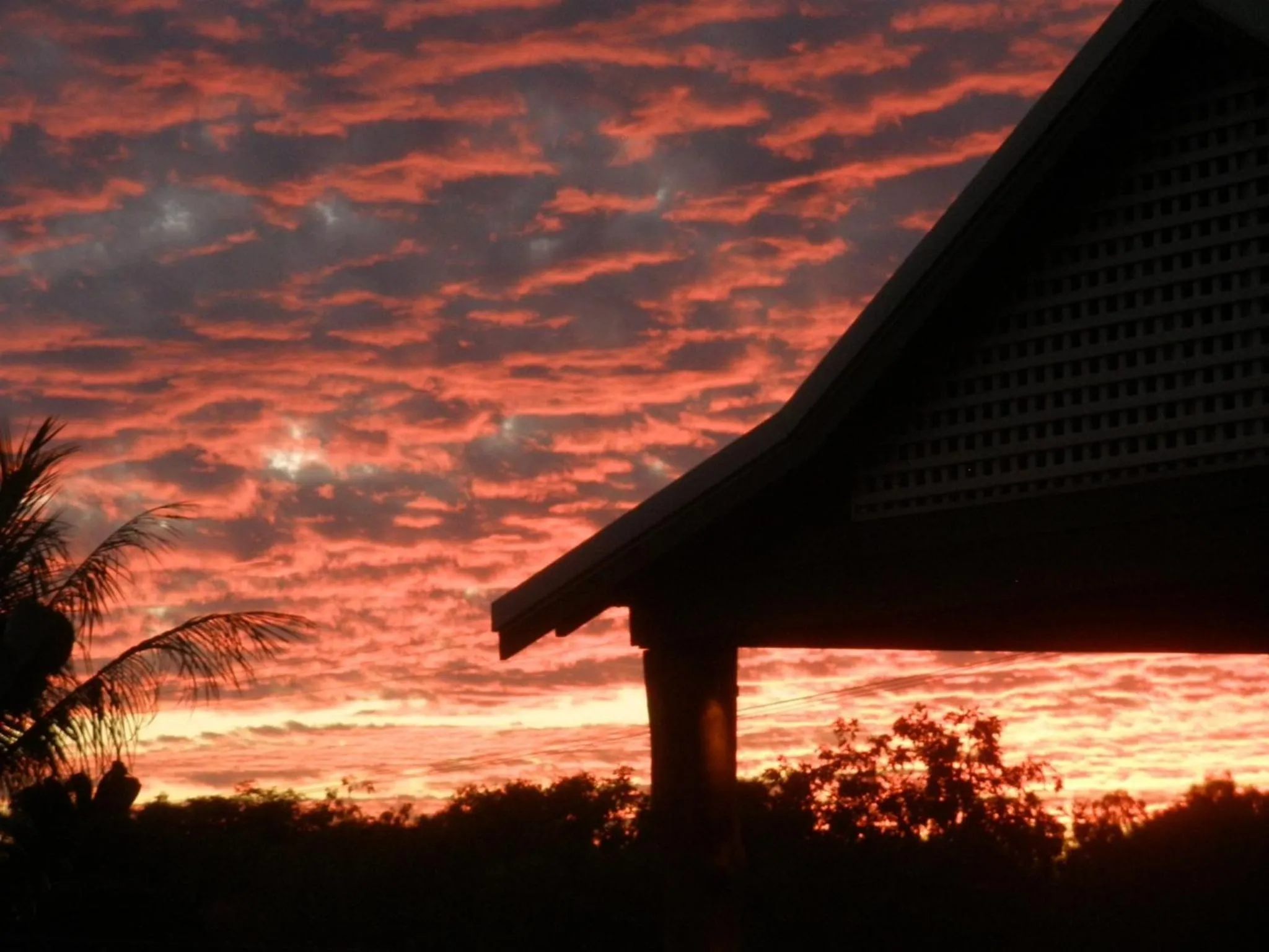 Natural landscape in Cocos Beach Bungalows