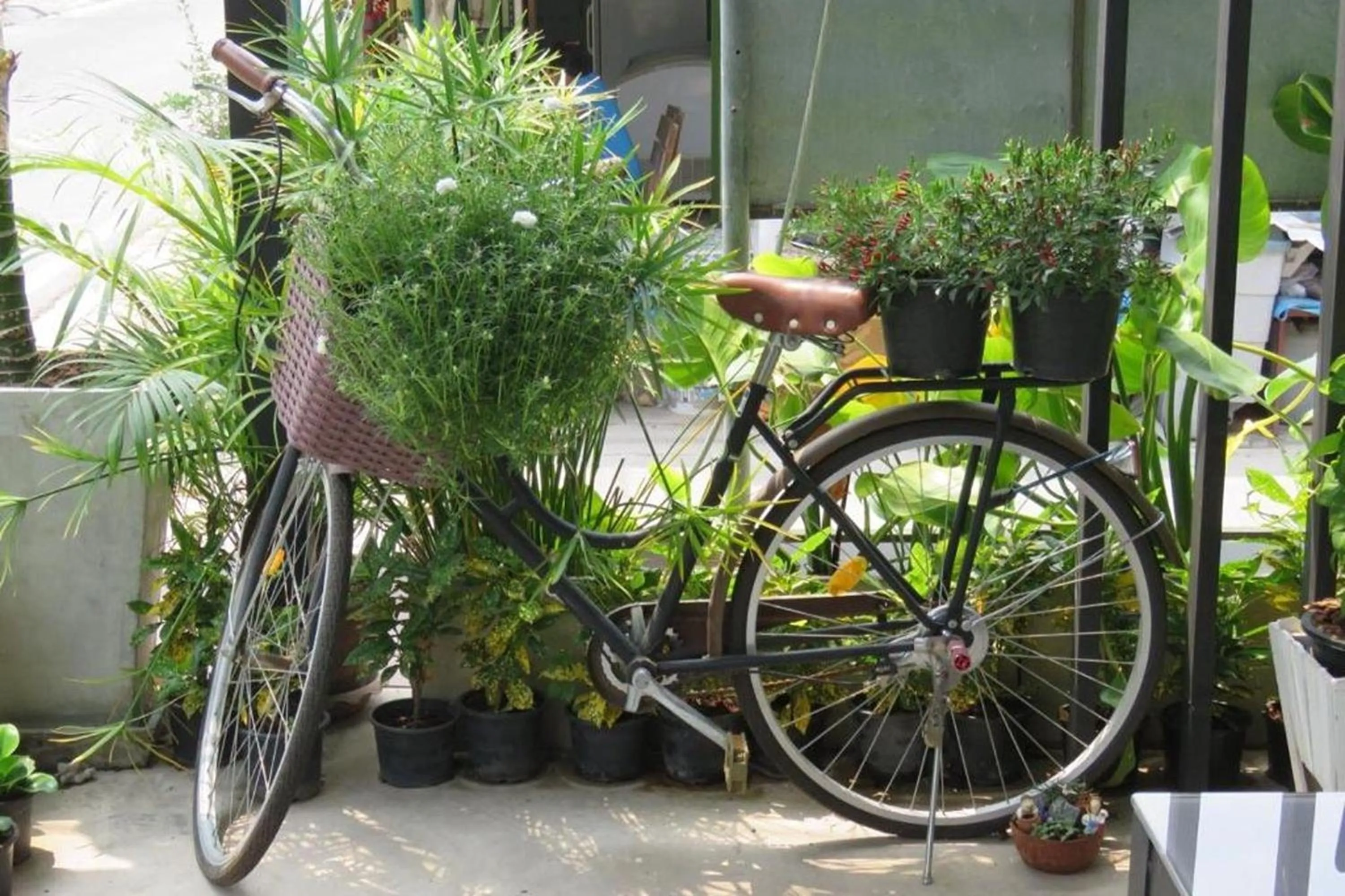 Balcony/Terrace in Surf & Sand Resort