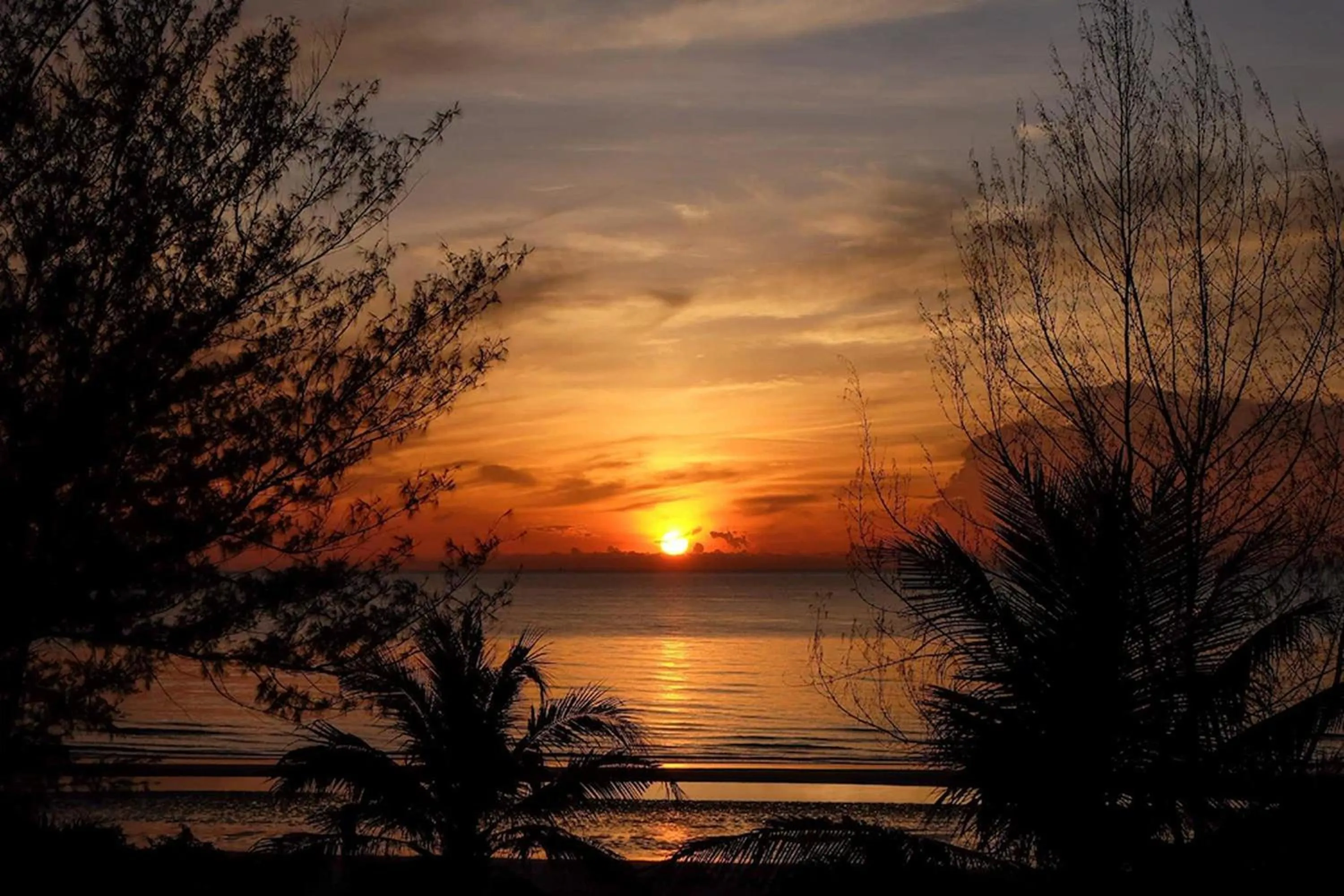 Natural landscape in Surf & Sand Resort