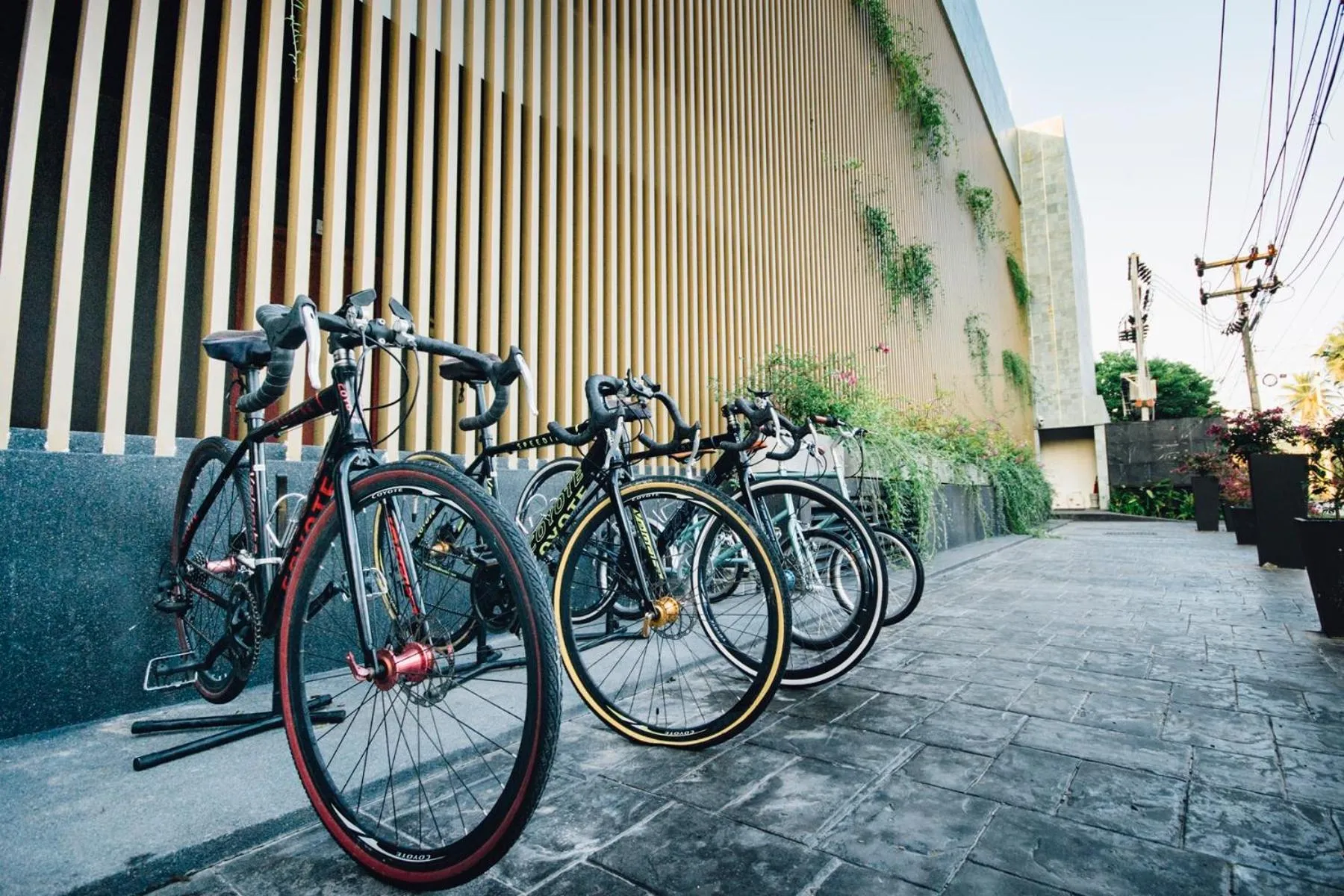 Cycling in The Beach Samui
