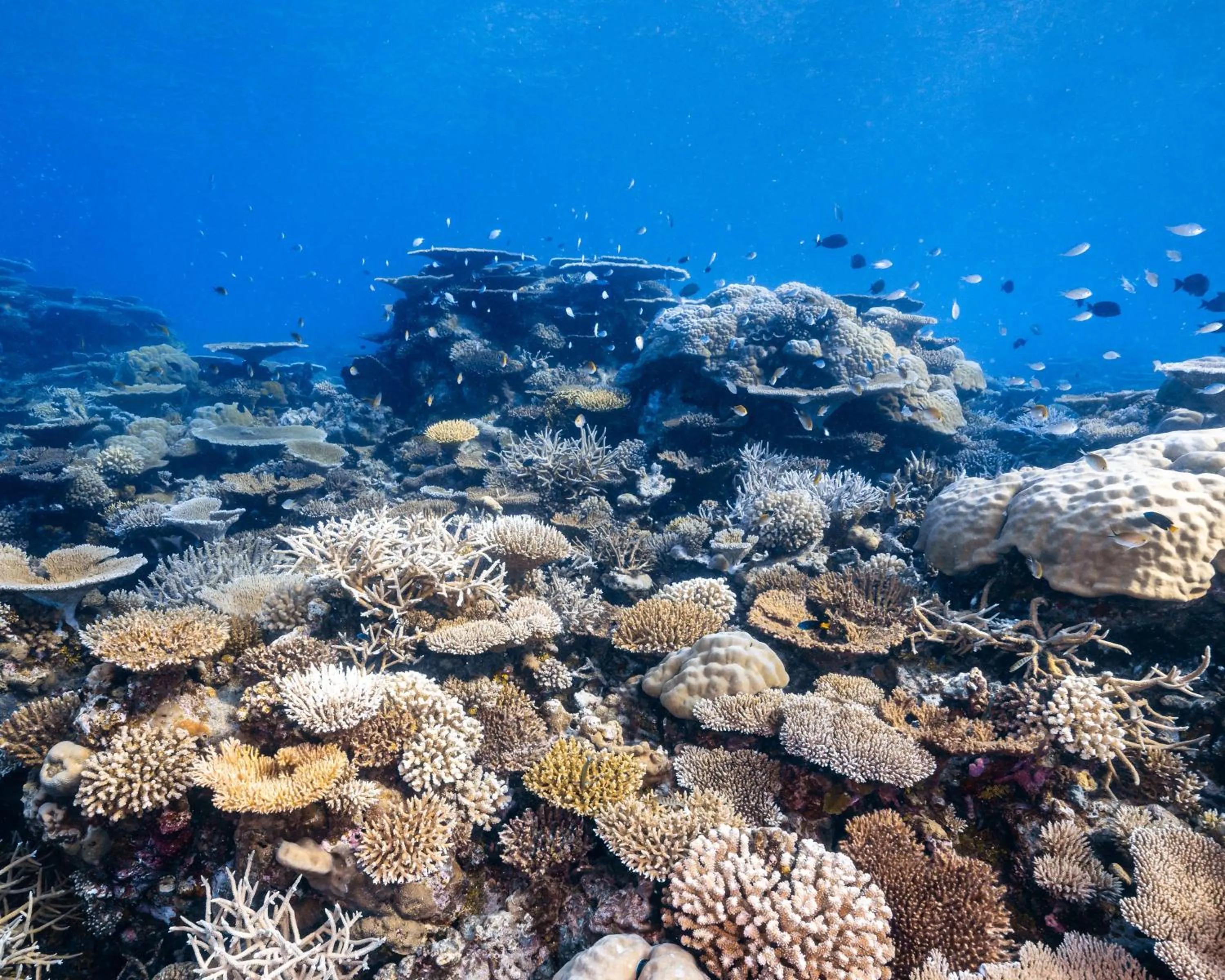 Location in Park Hyatt Maldives Hadahaa
