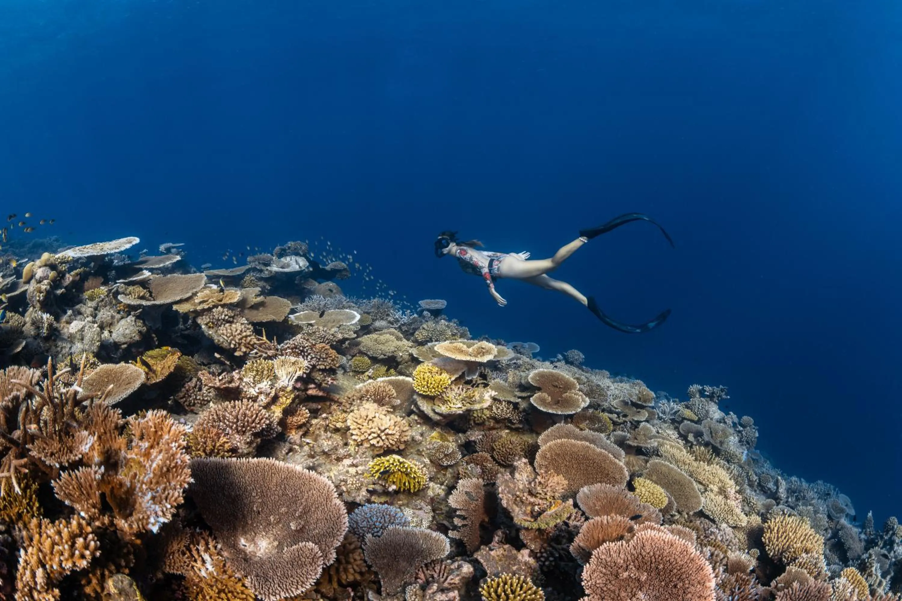 Area and facilities in Park Hyatt Maldives Hadahaa