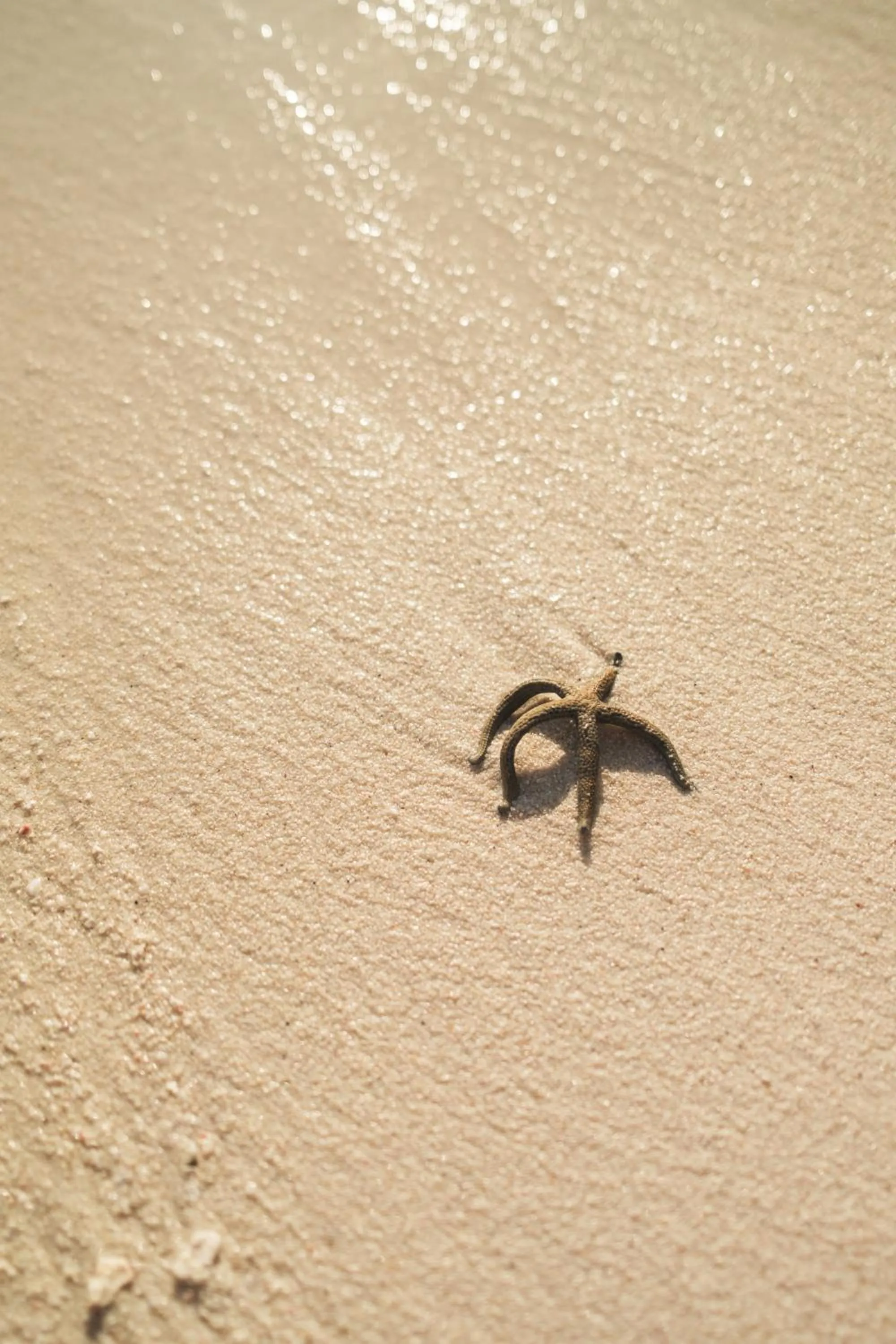 Park Hyatt Maldives Hadahaa