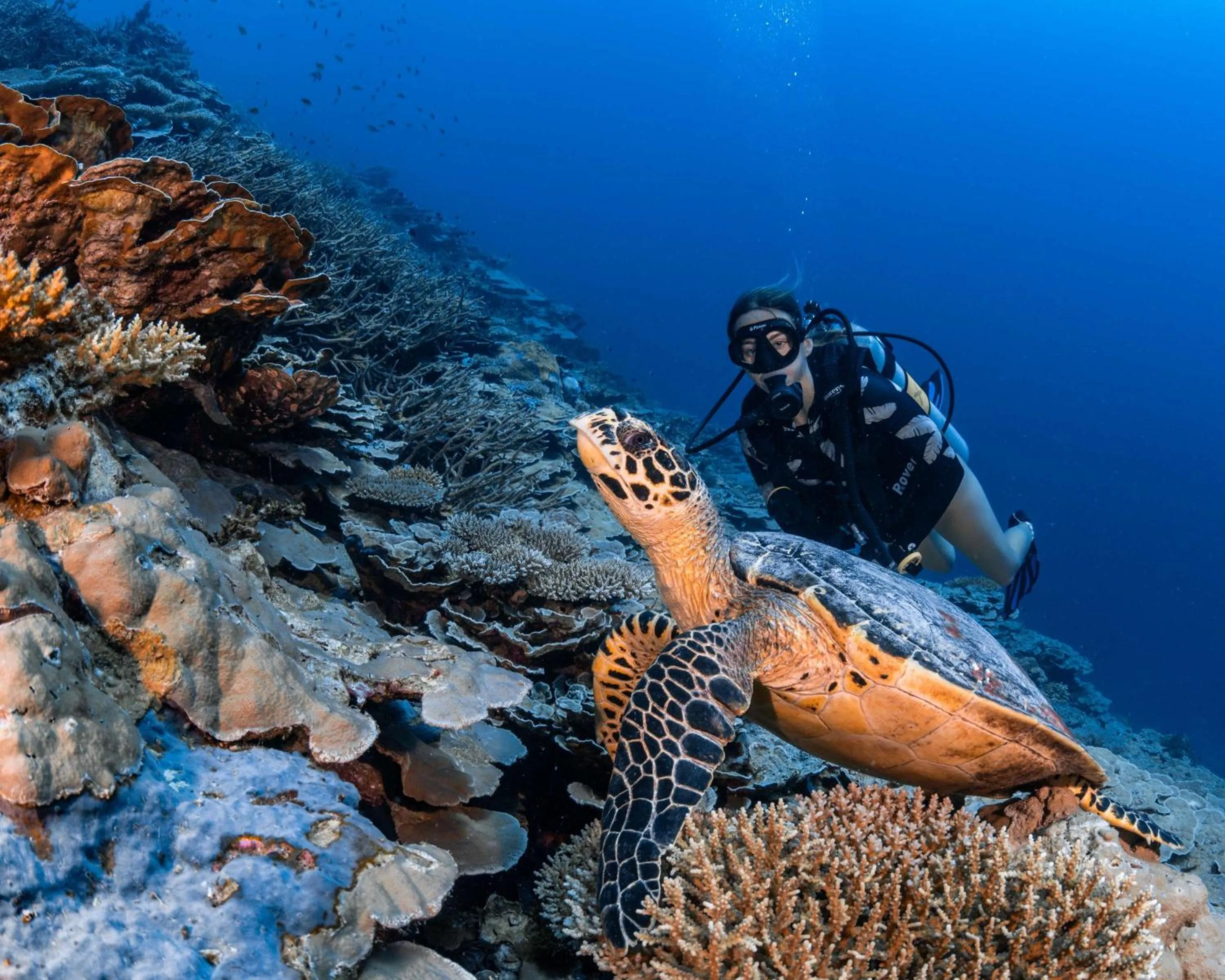 Location in Park Hyatt Maldives Hadahaa