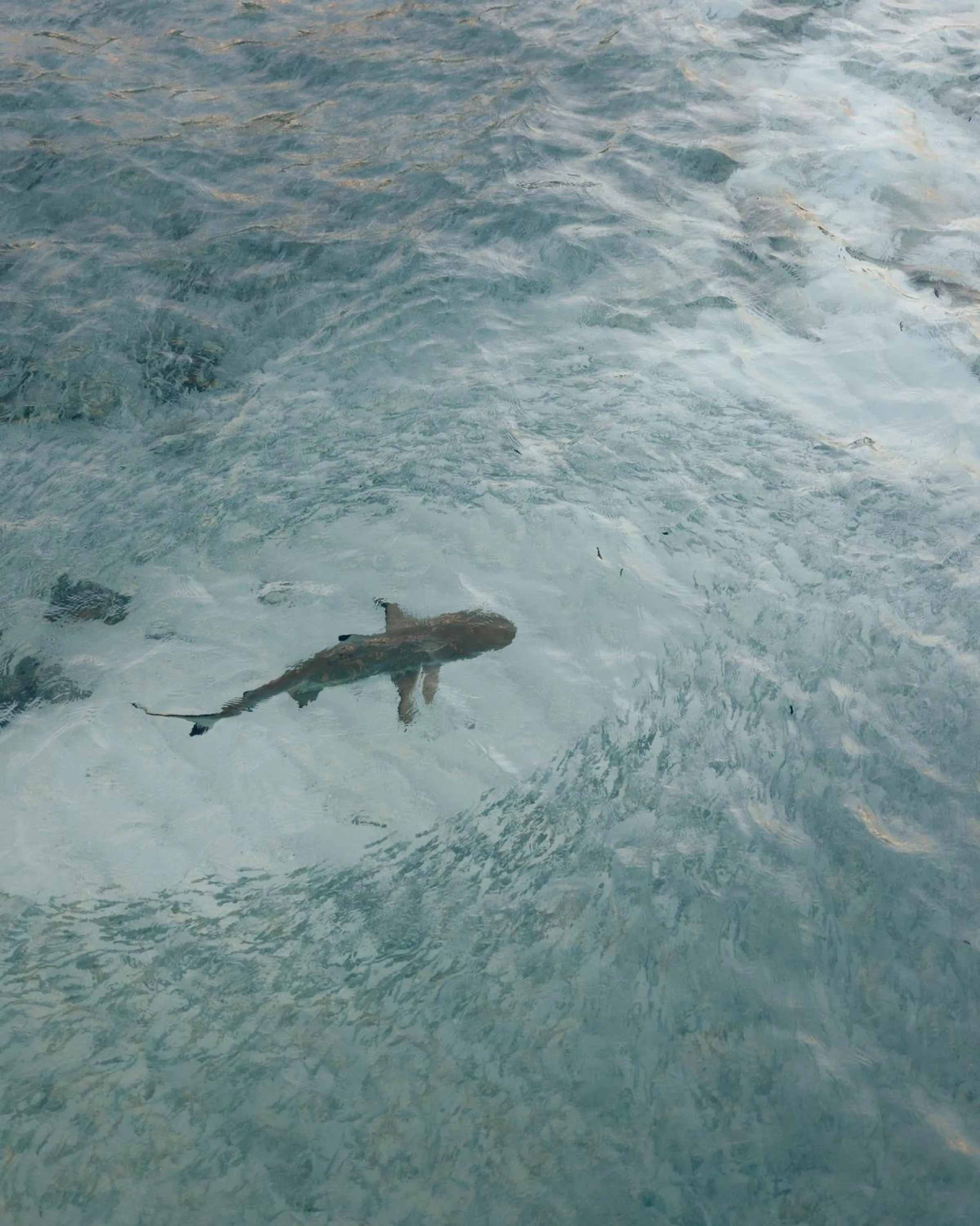 Park Hyatt Maldives Hadahaa