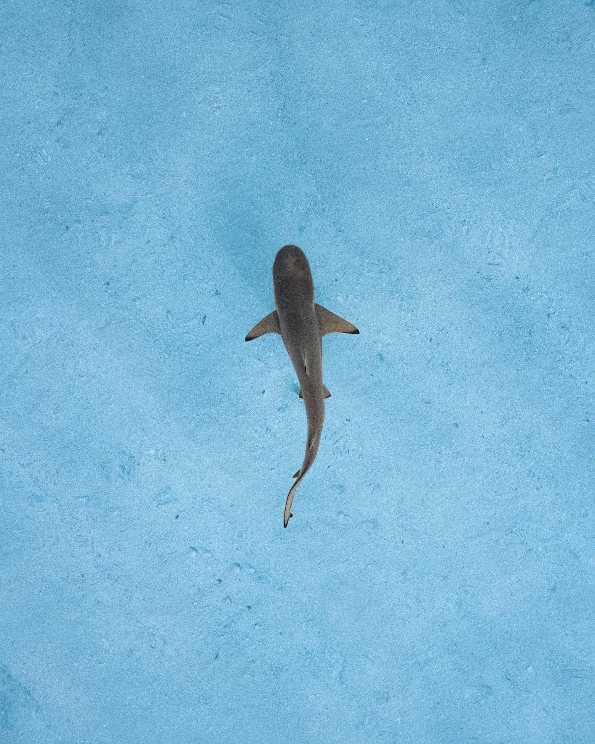 Park Hyatt Maldives Hadahaa