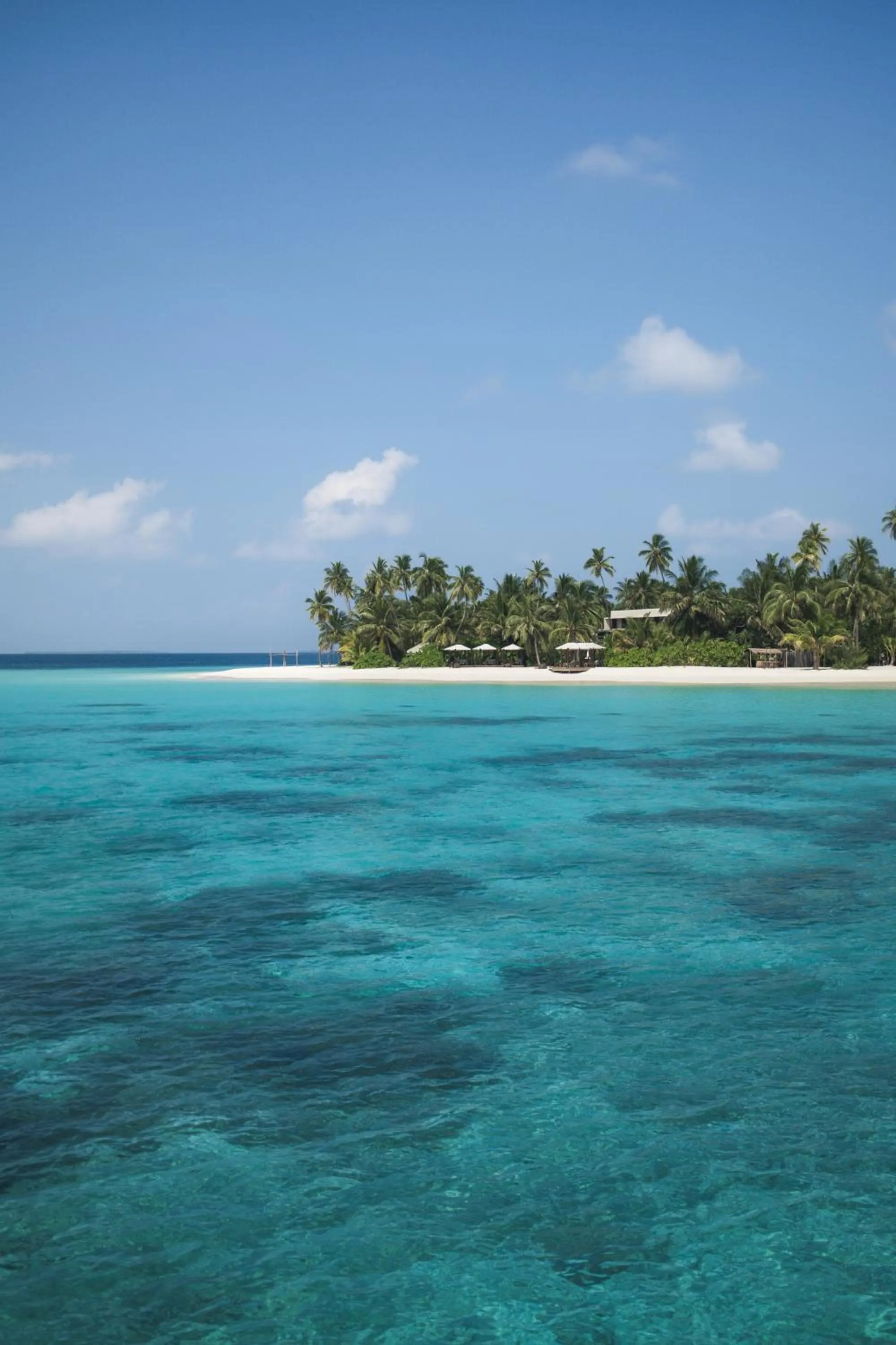 Natural landscape in Park Hyatt Maldives Hadahaa