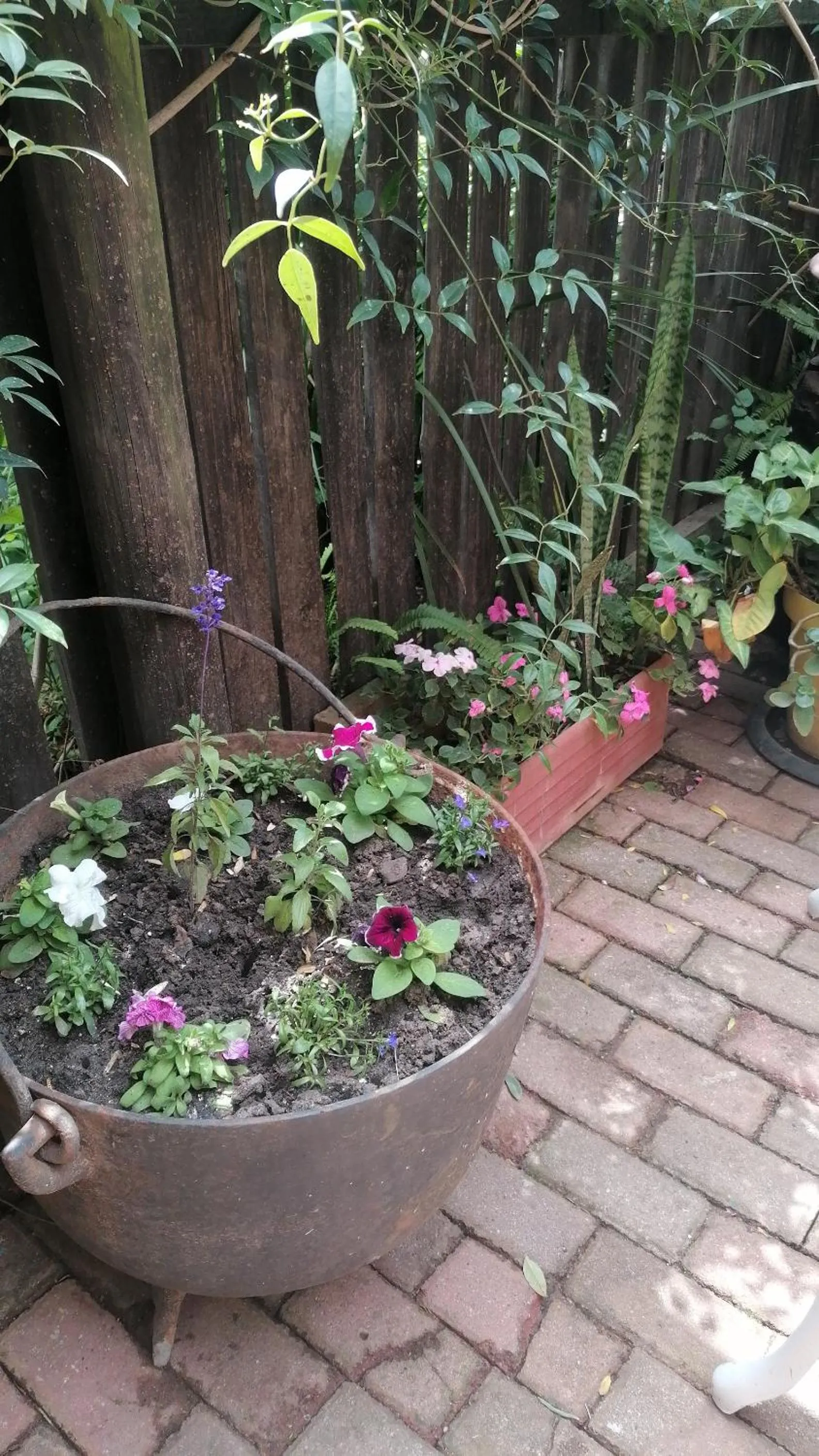 Garden in A1 Kynaston Guest House bed and breakfast or self catering