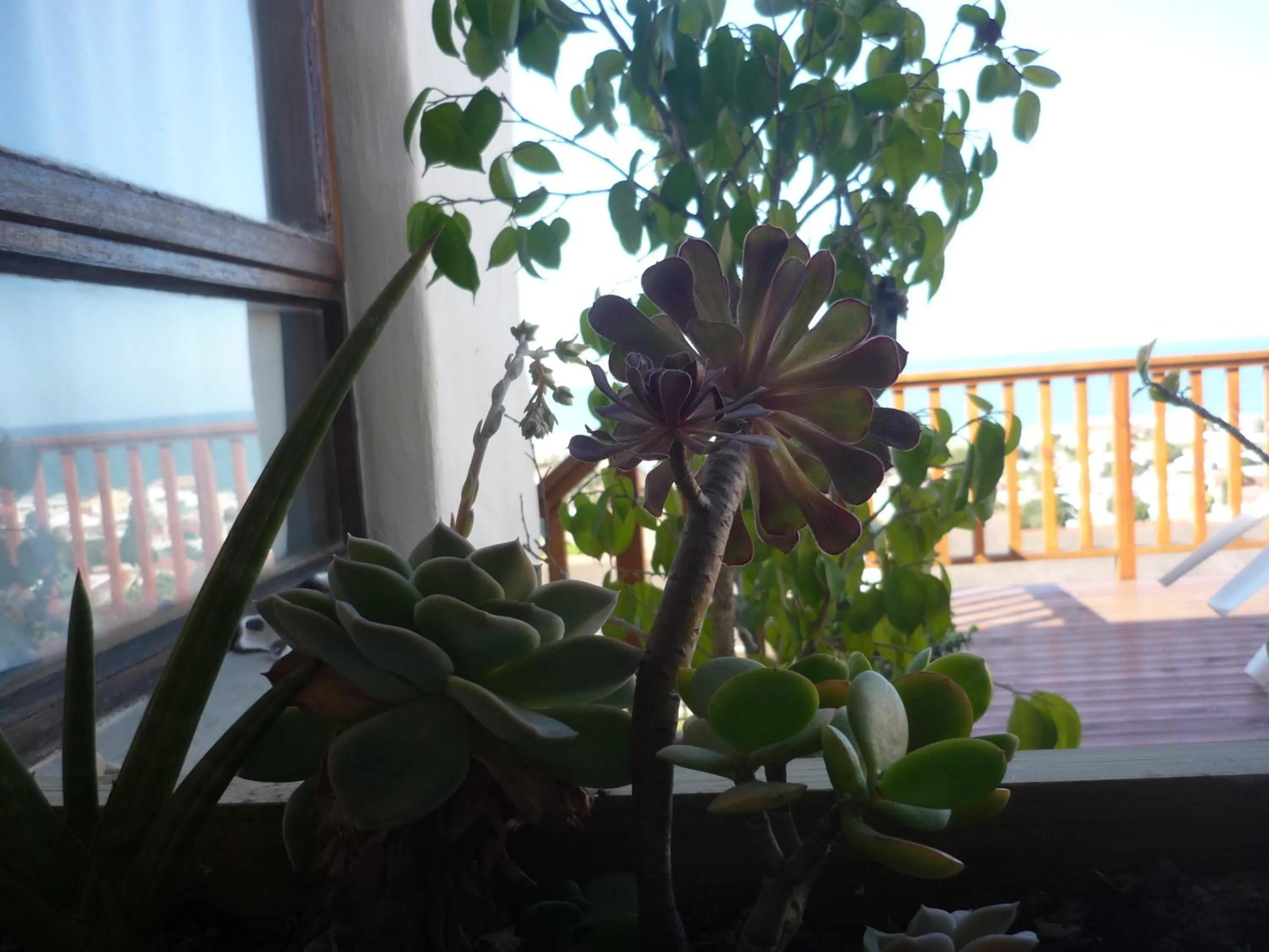 Decorative detail in A1 Kynaston Guest House bed and breakfast or self catering