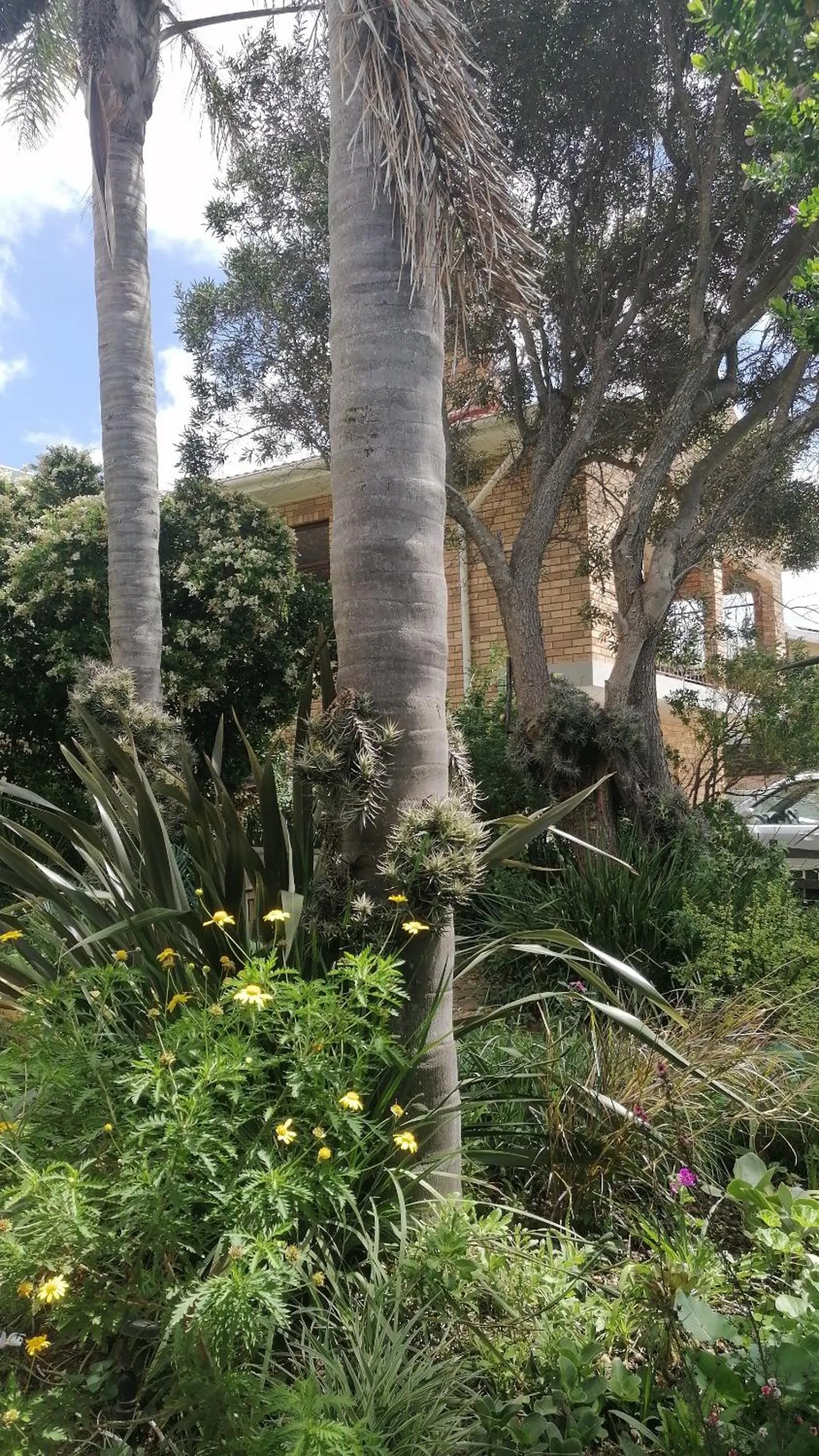 Garden view in A1 Kynaston Guest House bed and breakfast or self catering