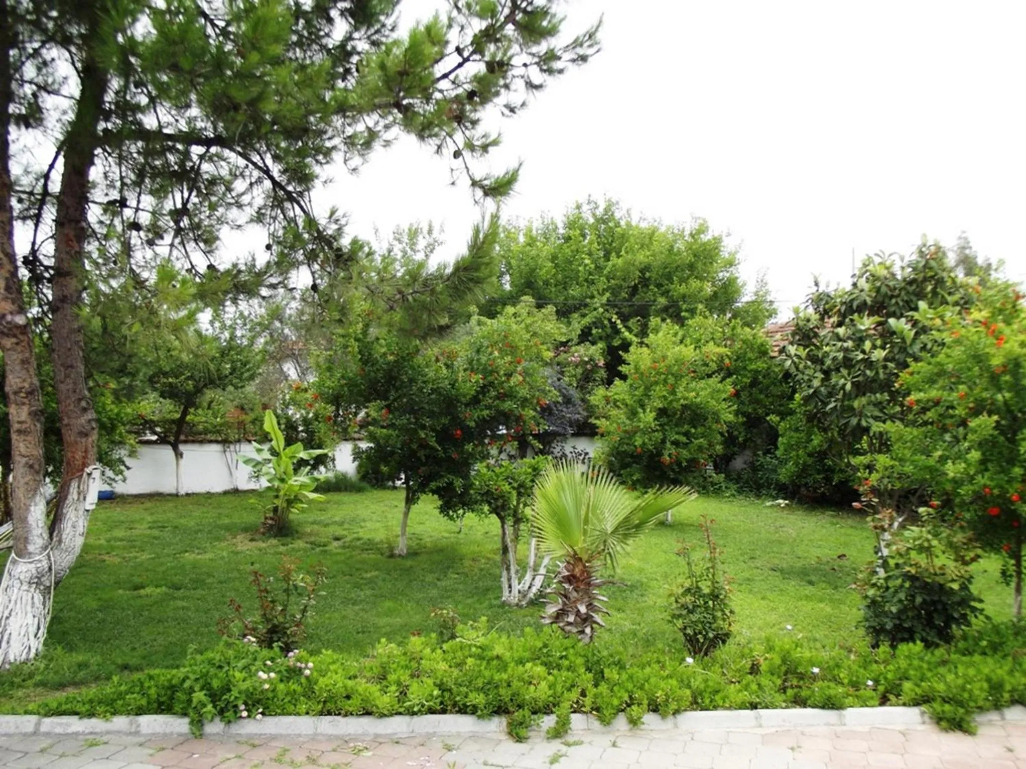 Garden in Gurkan Apart Hotel