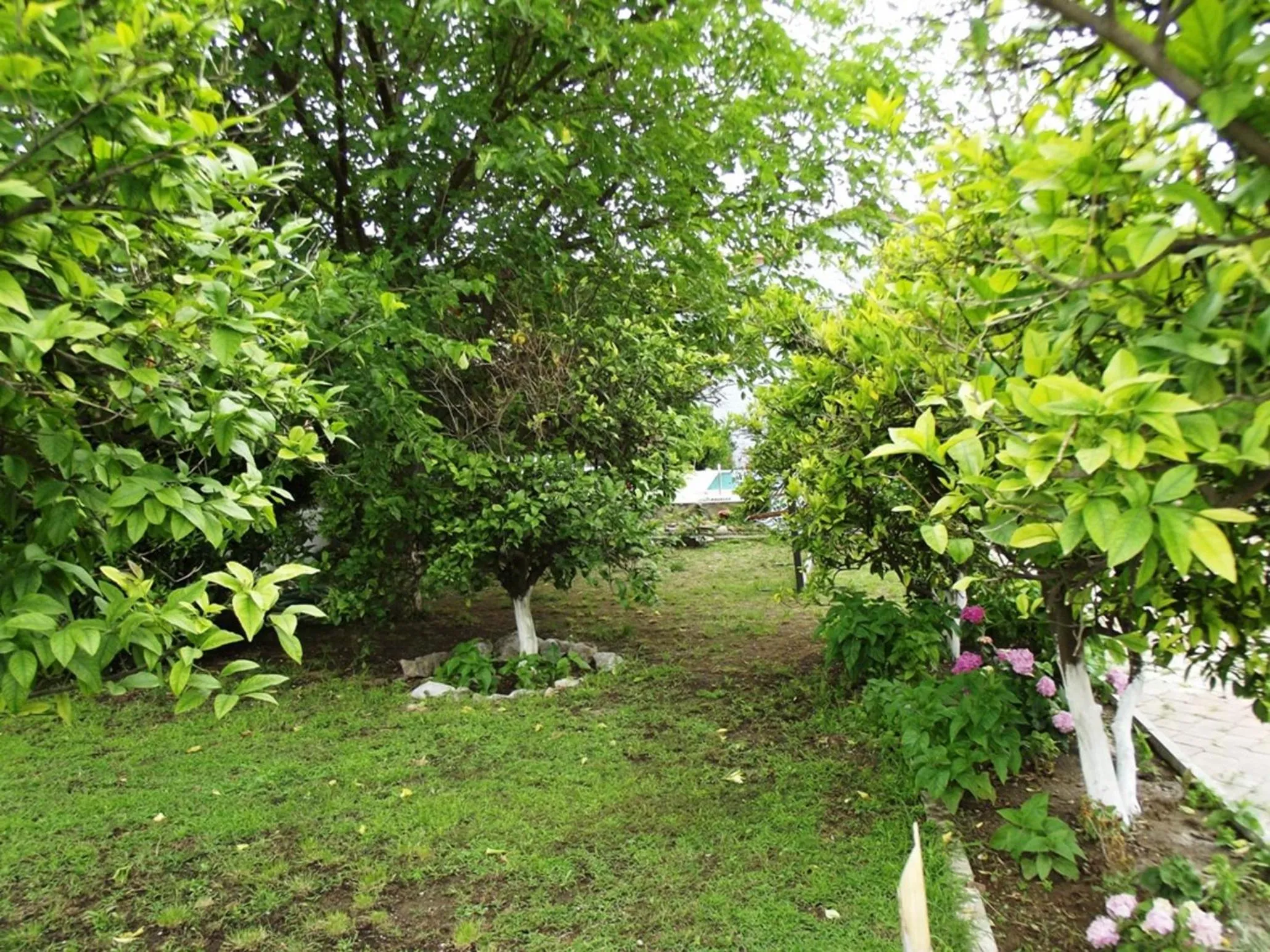 Garden in Gurkan Apart Hotel