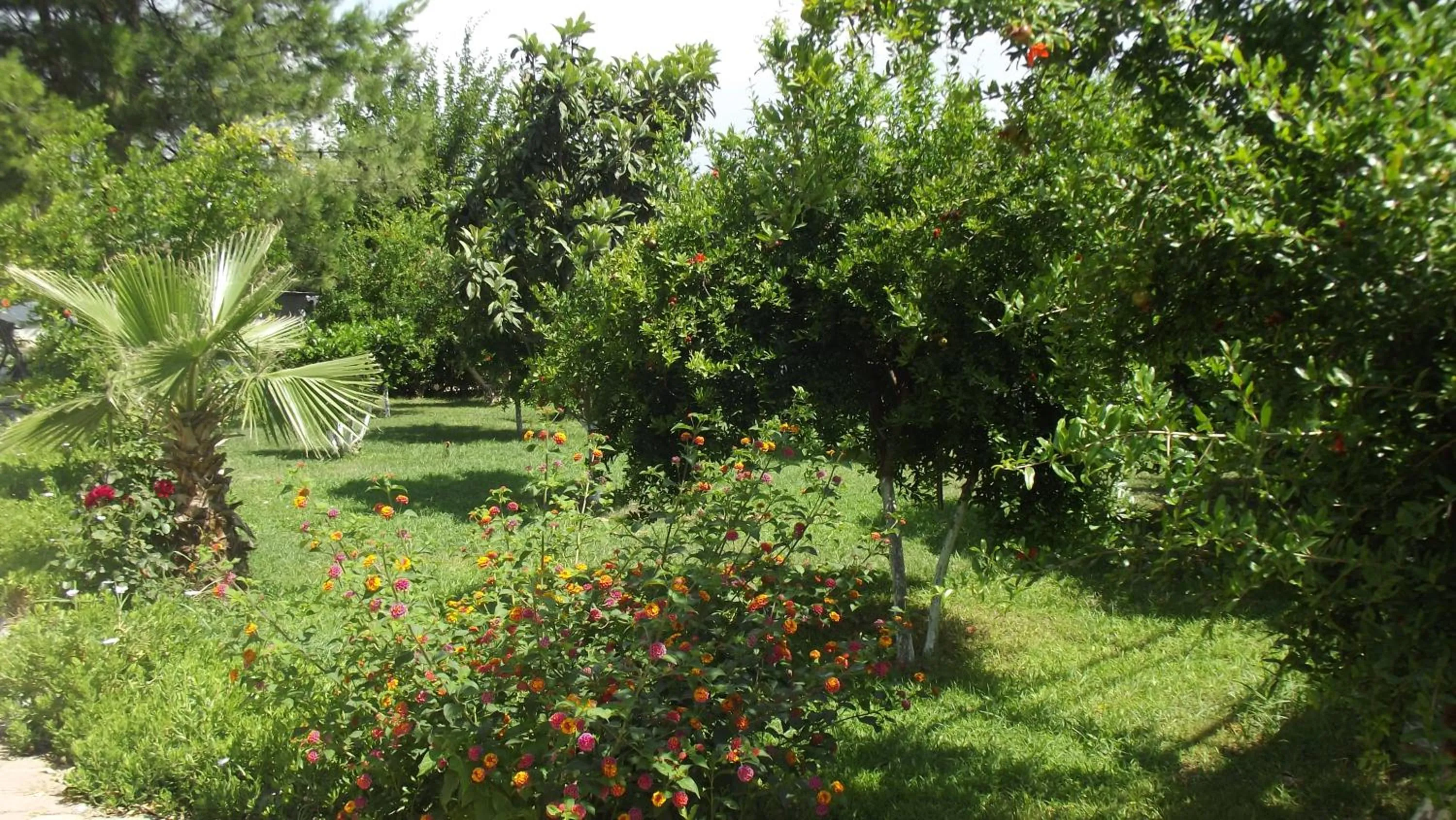 Garden in Gurkan Apart Hotel