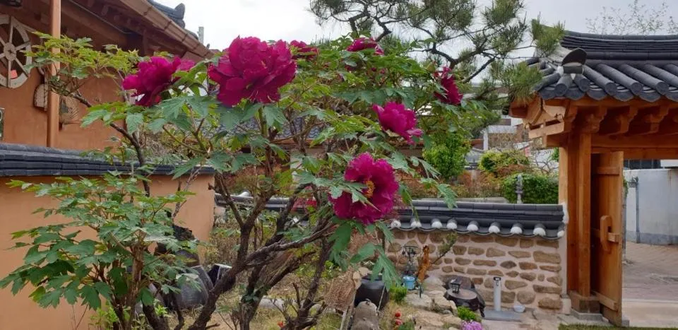 Garden in Hanok Hyeyum
