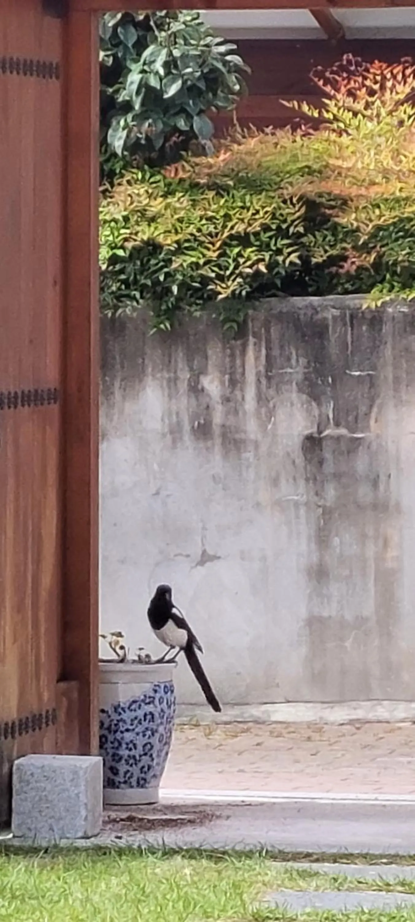 Property building in Hanok Hyeyum