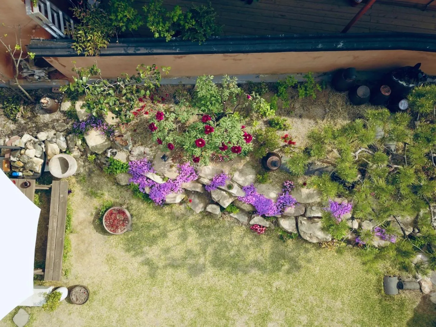 Spring in Hanok Hyeyum