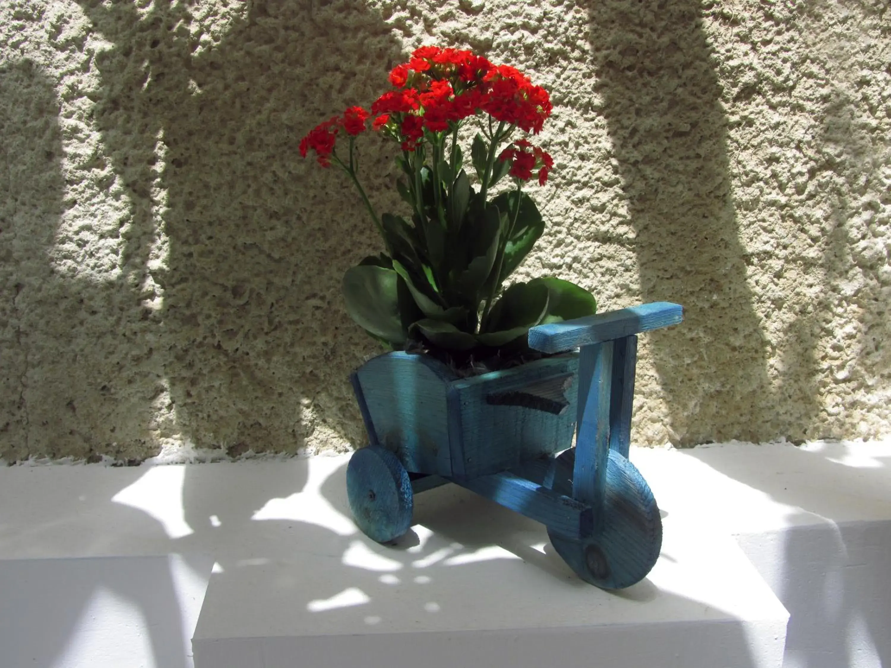 Property building in Petra Hotel Property building in Petra Hotel