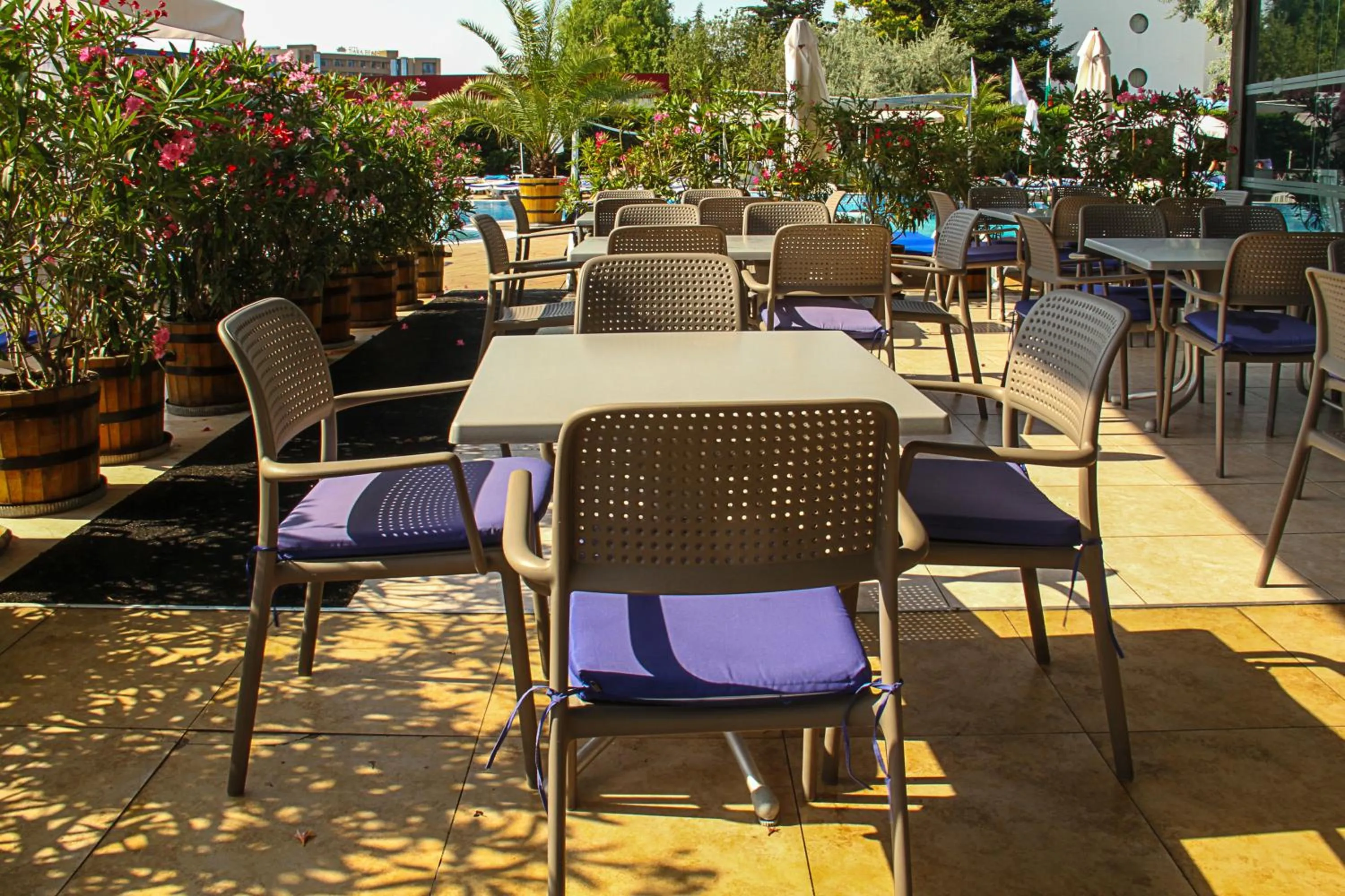 Restaurant/places to eat in Smartline Meridian Hotel