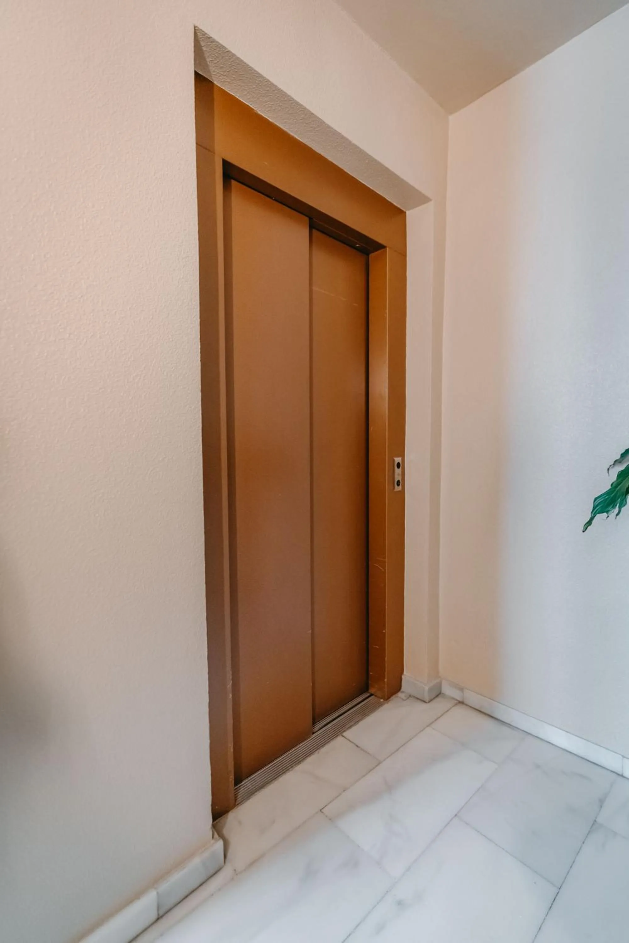 elevator in Veronica Centro