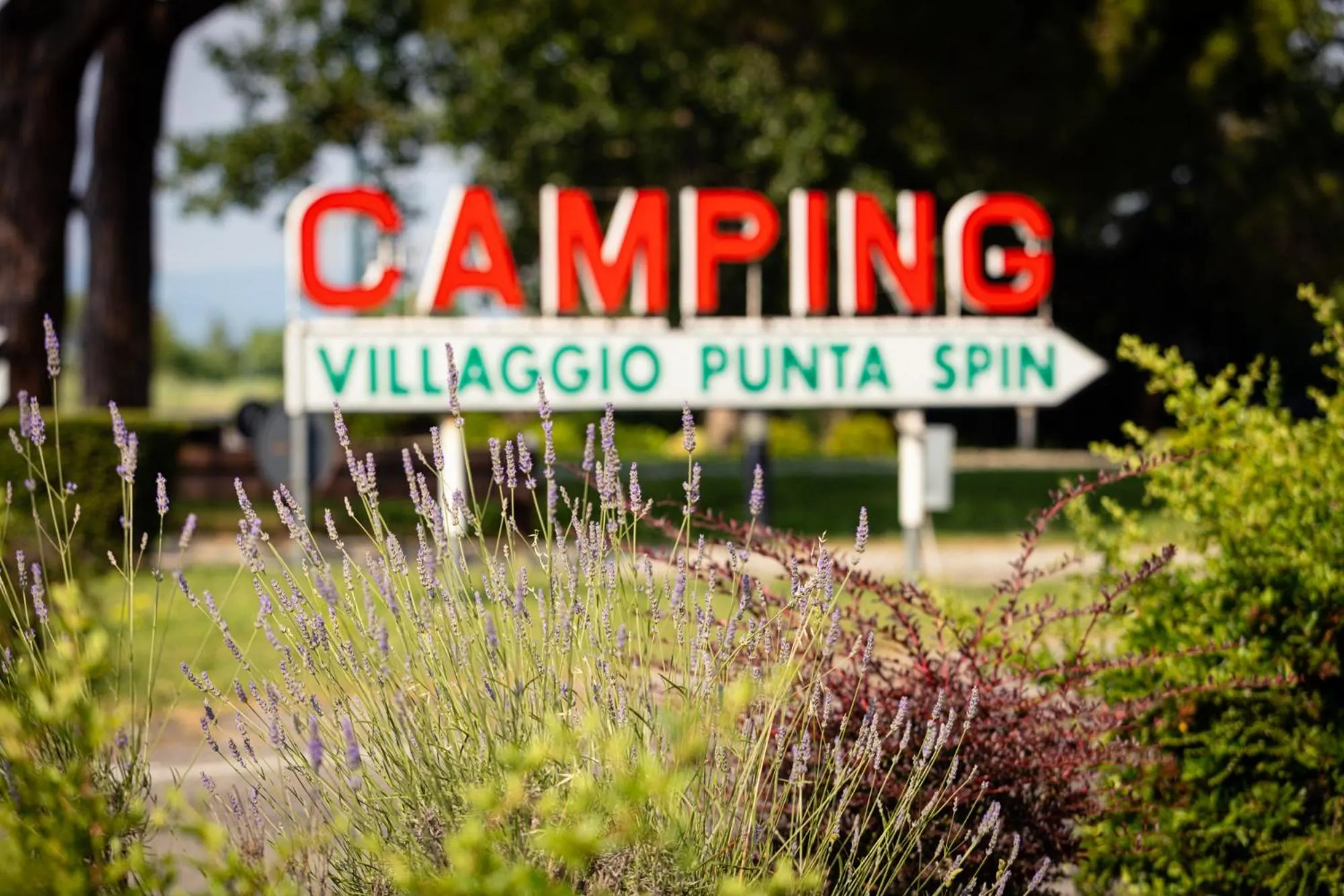 Facade/entrance in Residence Punta Spin