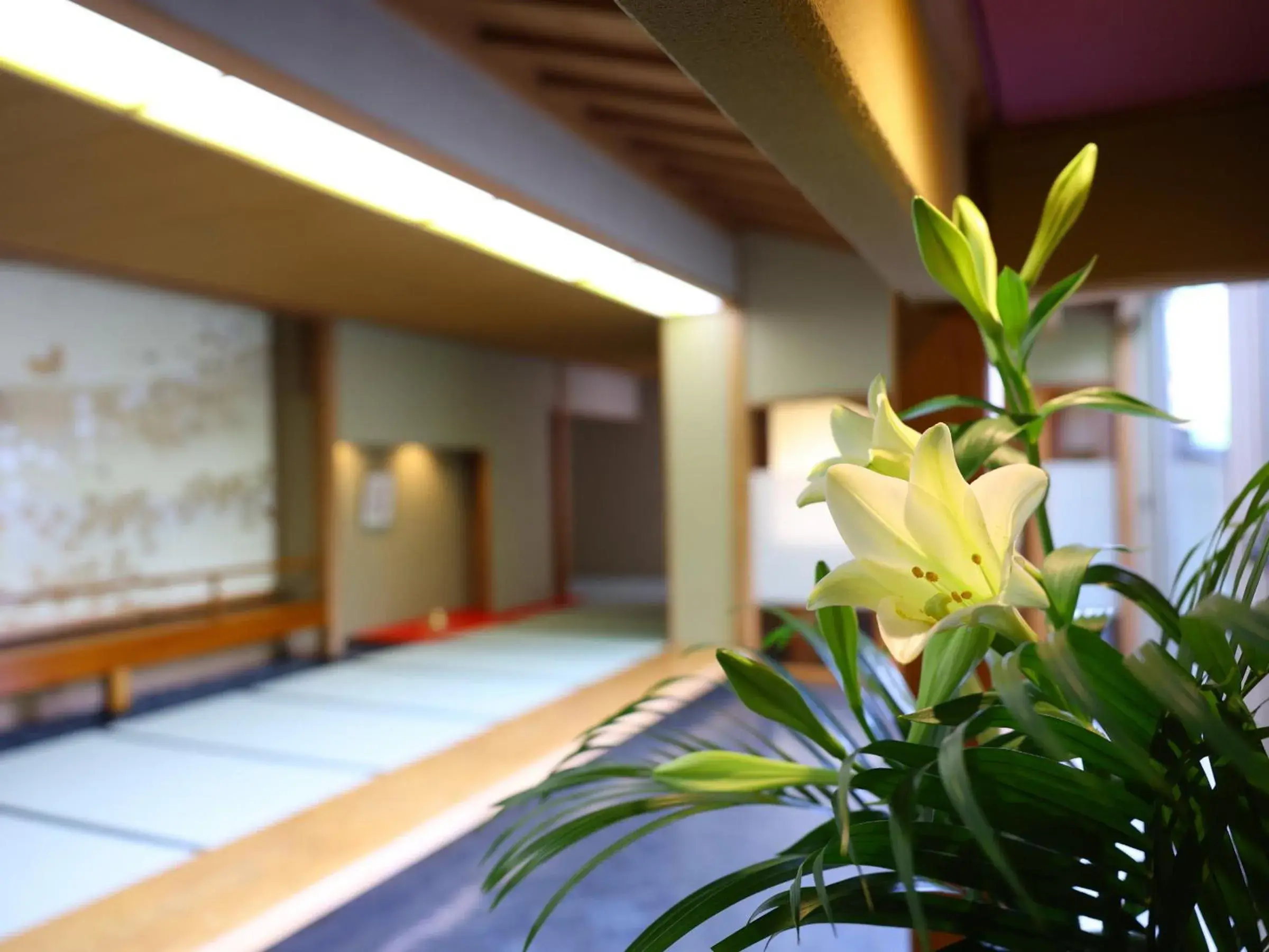 Area and facilities, Bed in Hamanoyu Area and facilities, Bed in Hamanoyu