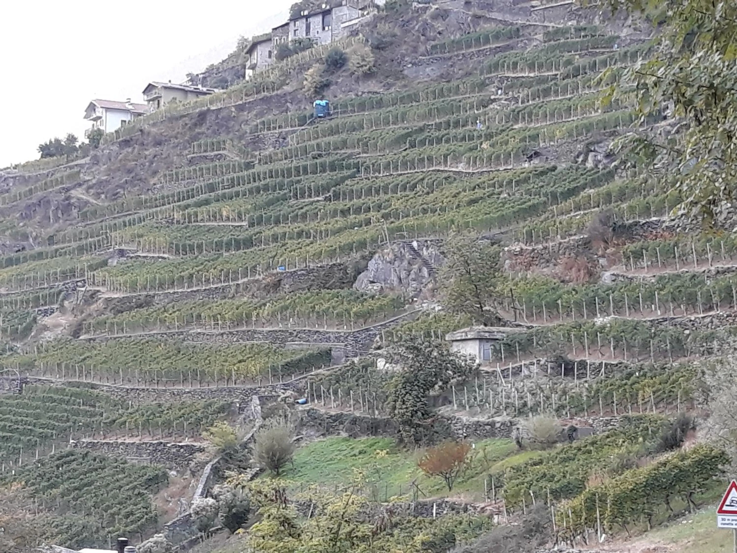 Natural landscape in Il Vigneto