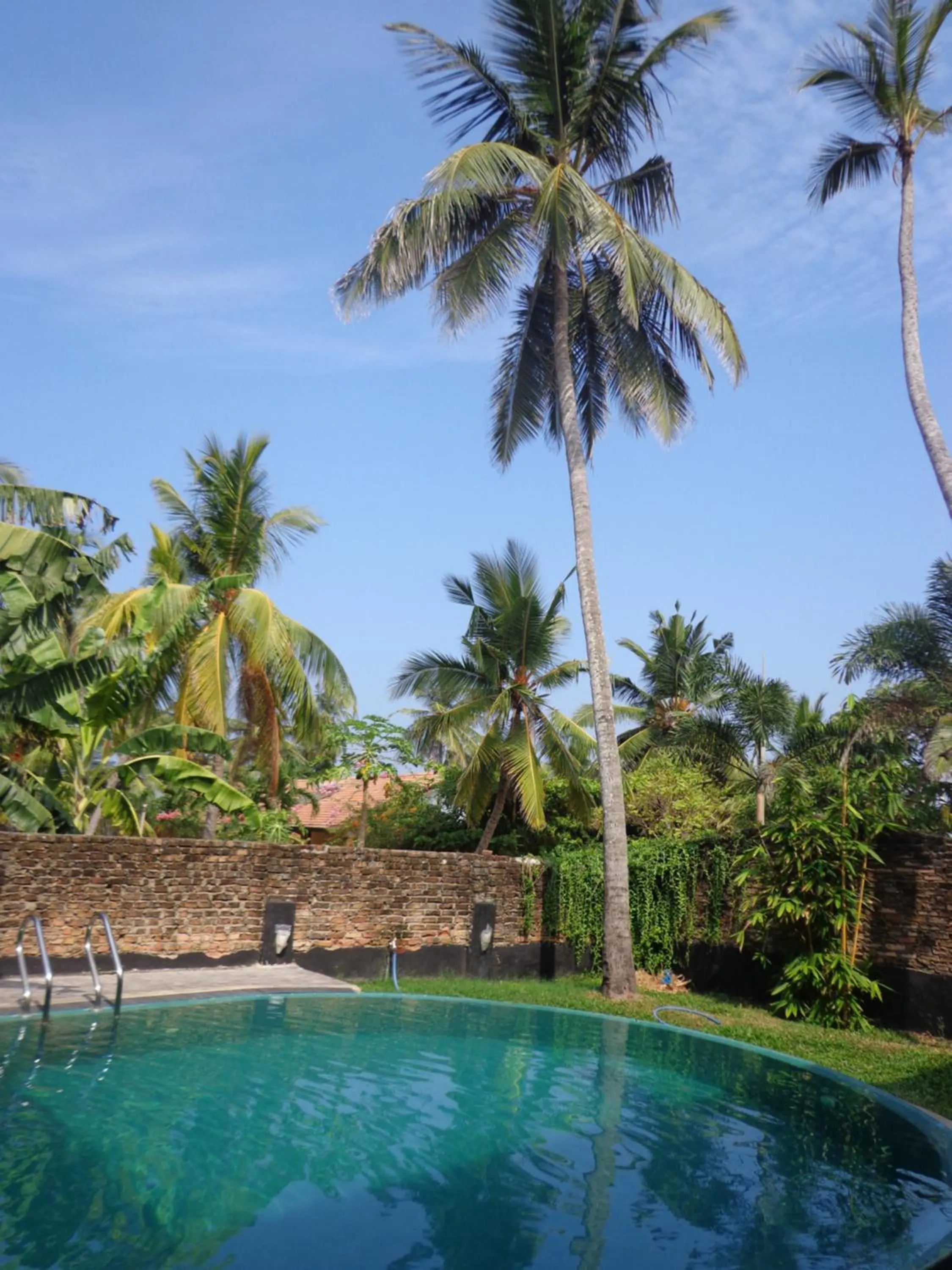 Garden in Hotel Star White - Negombo