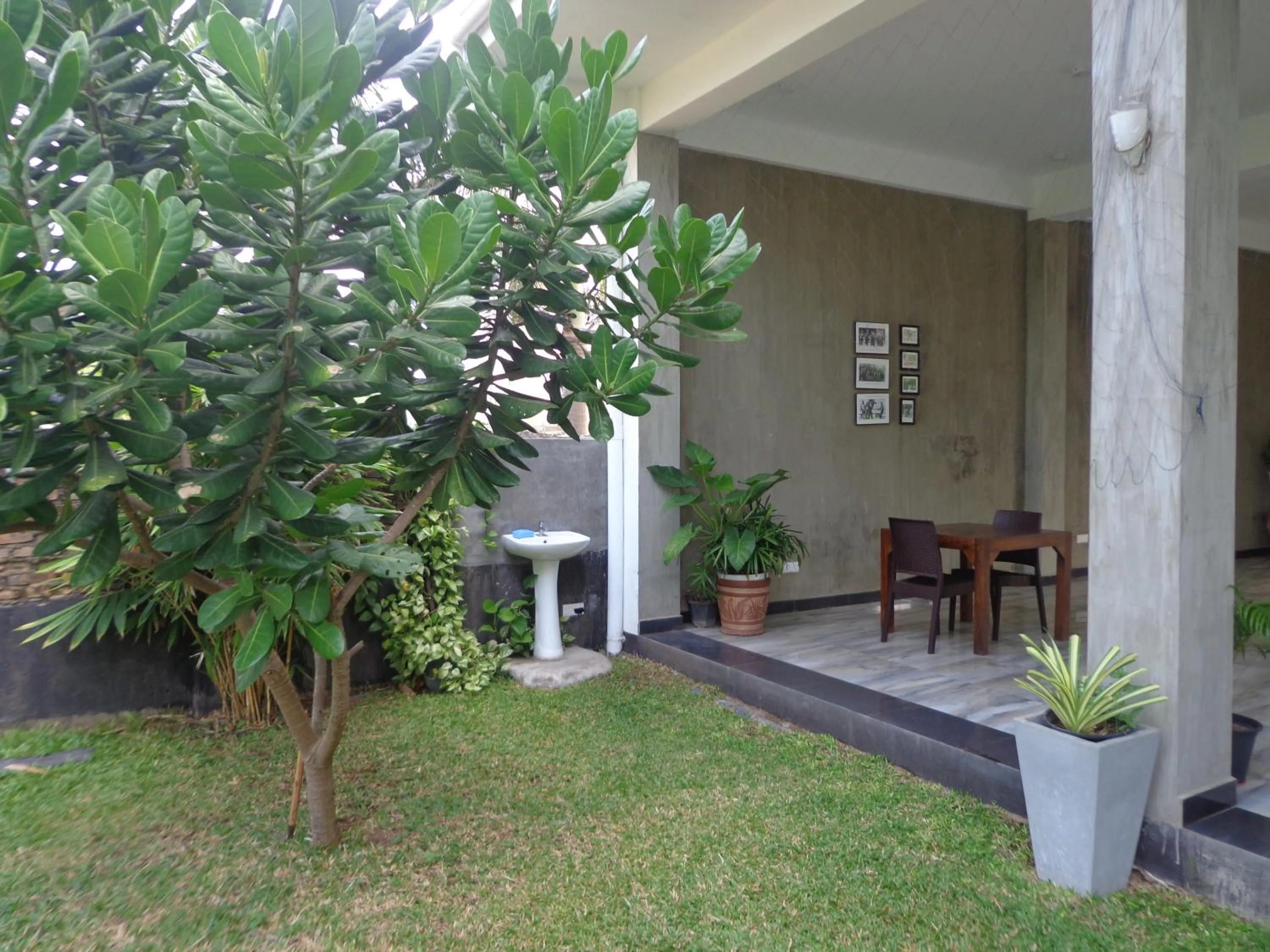 Garden in Hotel Star White - Negombo