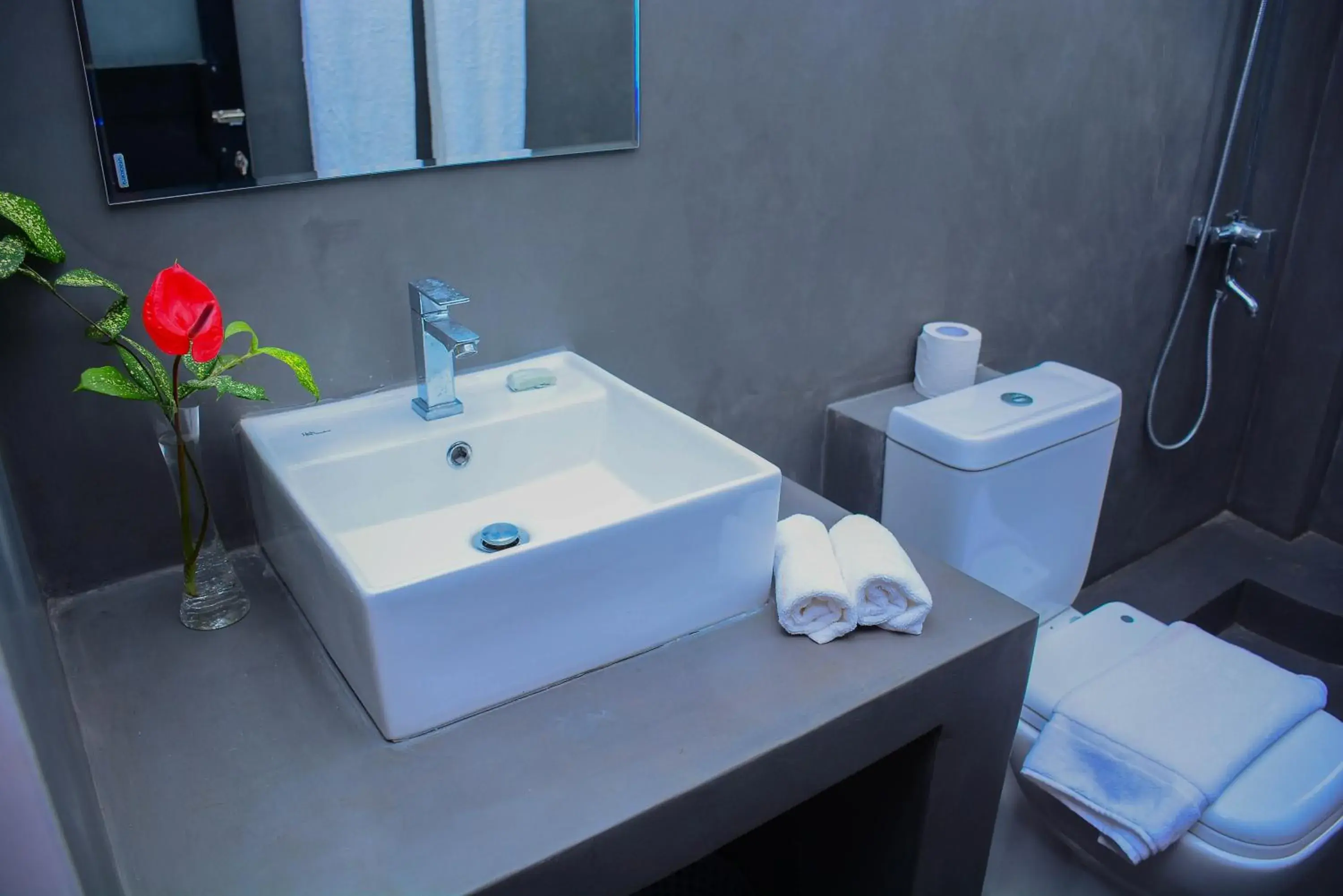 Standard Room in Hotel Star White - Negombo Standard Room in Hotel Star White - Negombo