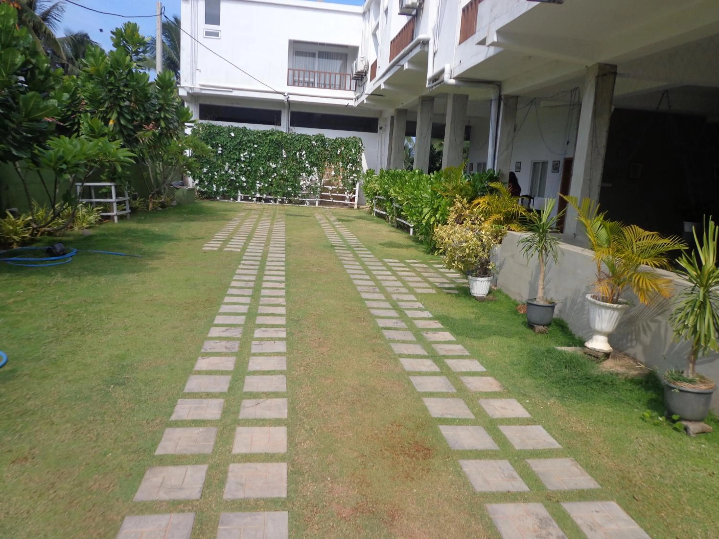 Garden in Hotel Star White - Negombo