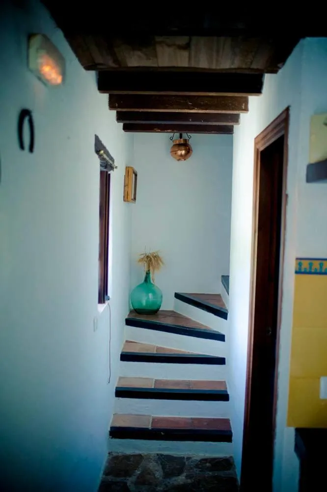 Decorative detail, Bed in Hotel Enrique Calvillo