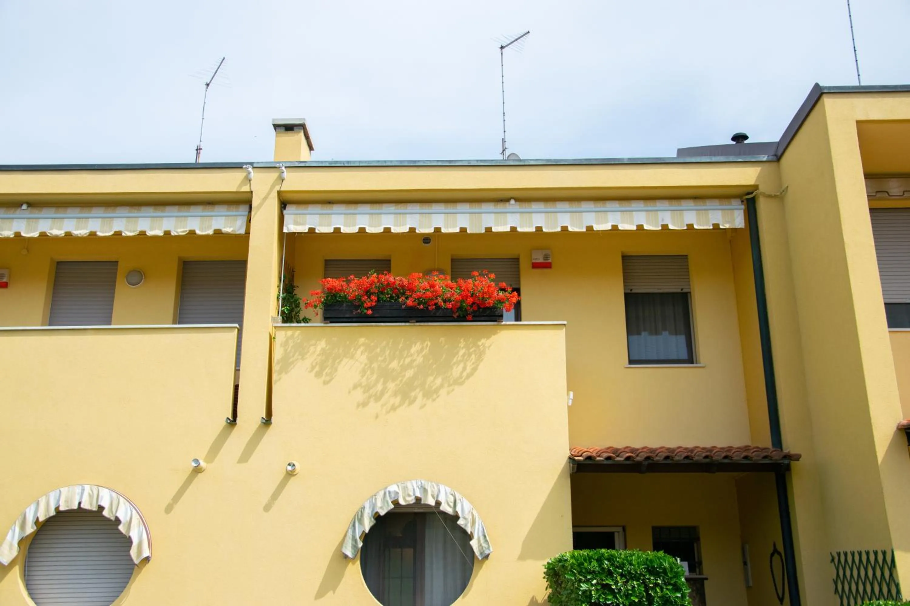 B&B Il Glicine Fiorito