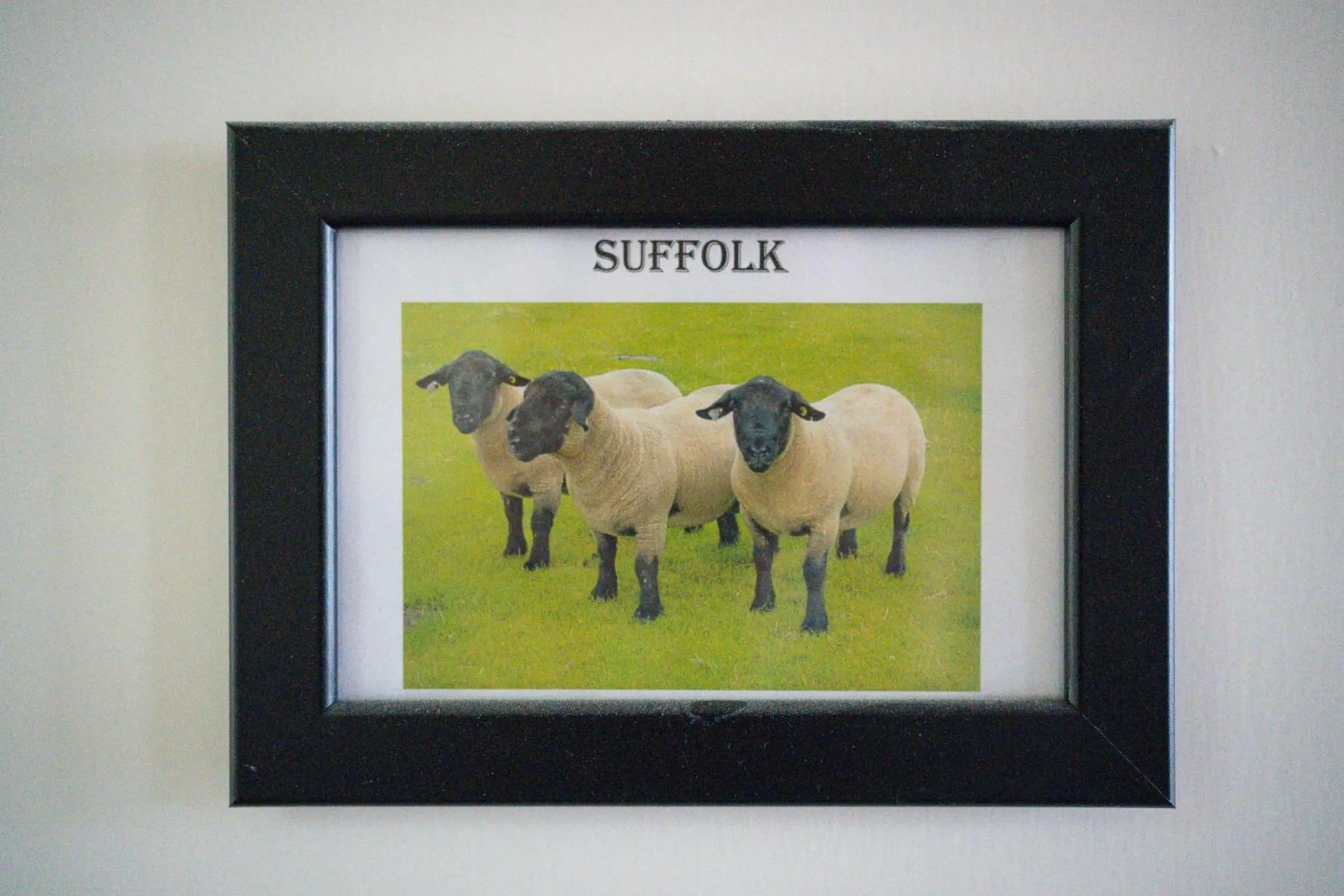 The Shepherds Inn, Langwathby