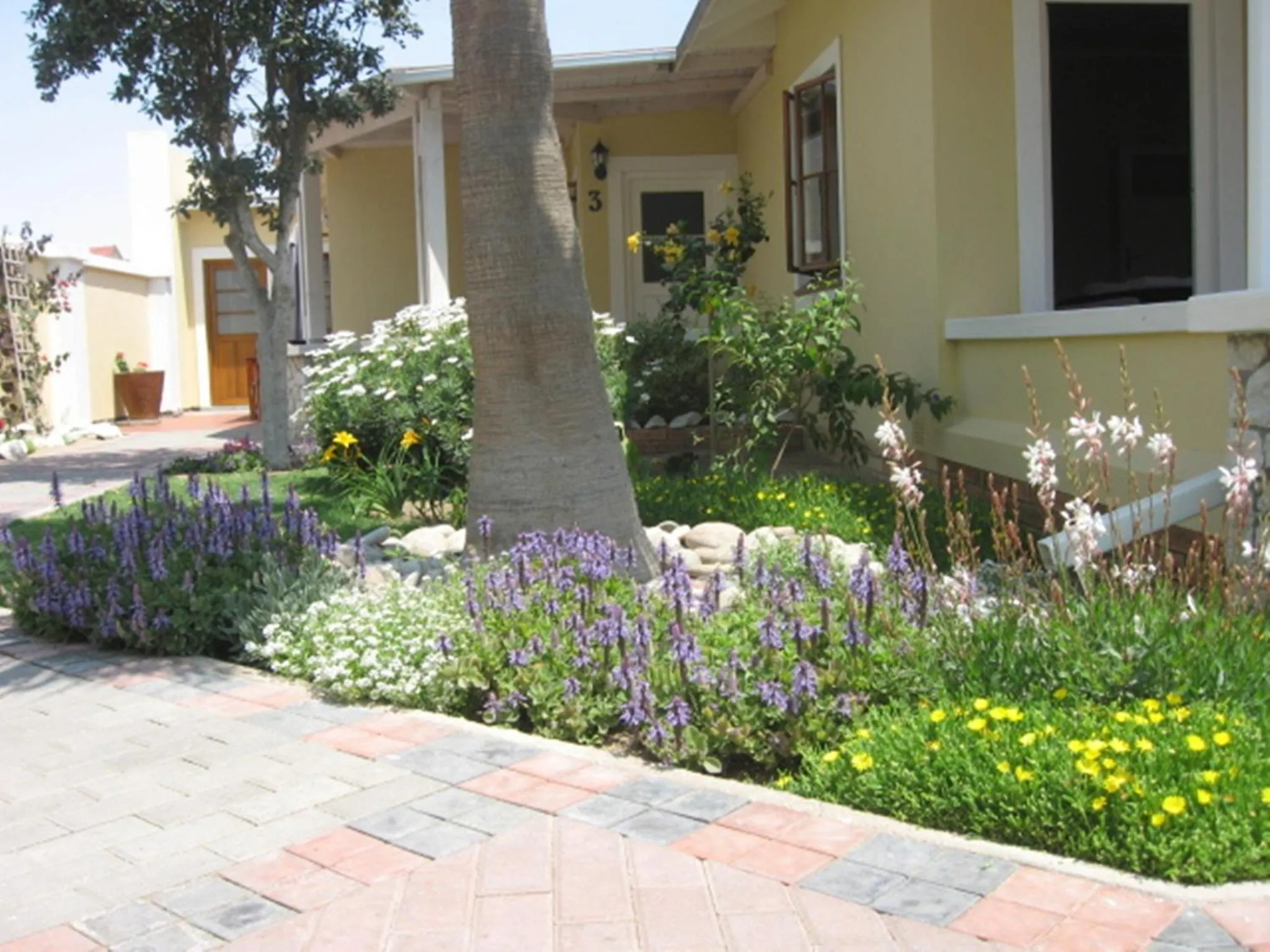 Garden in Cornerstone Guesthouse