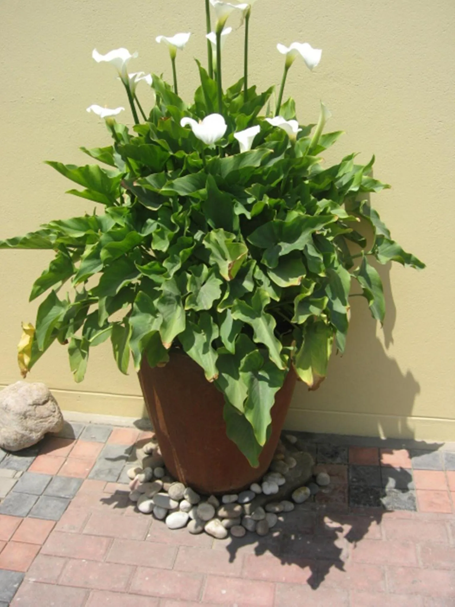 Other in Cornerstone Guesthouse