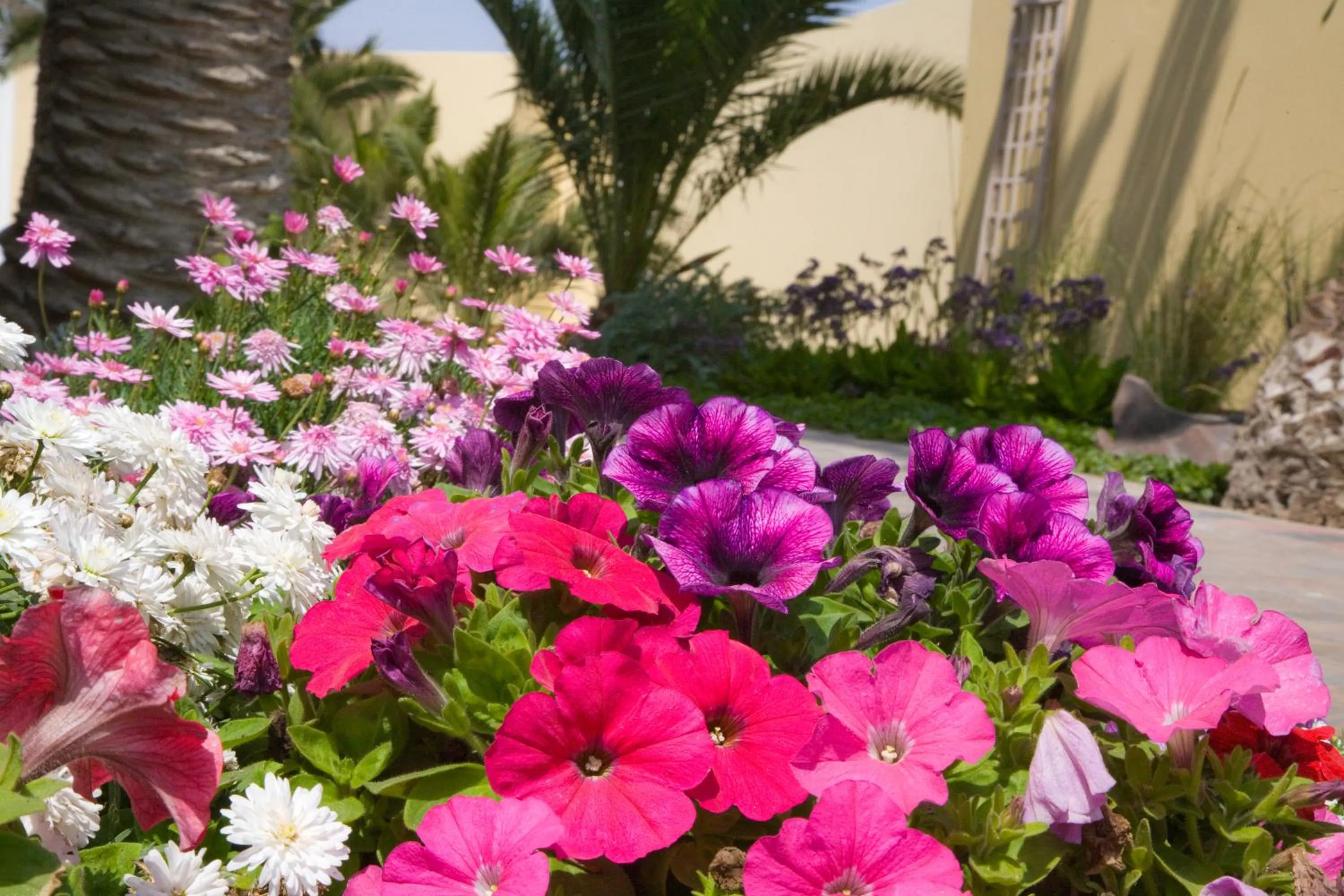 Garden in Cornerstone Guesthouse