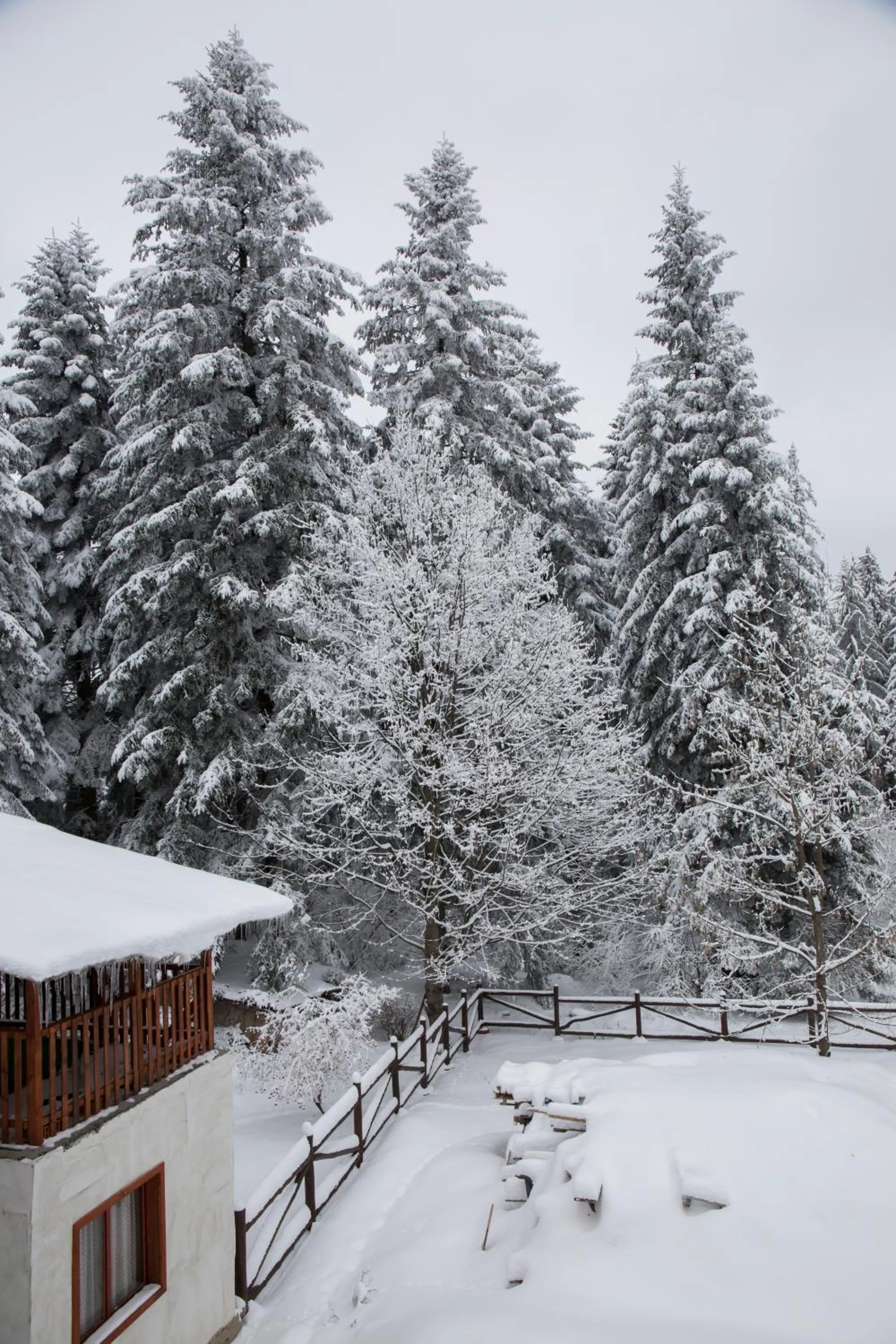 Natural landscape in Victoria Hotel Borovets - Free Parking